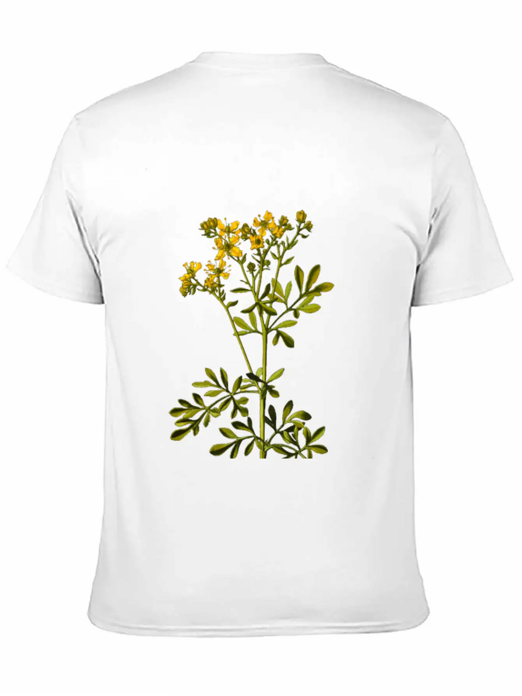 Common Rue (detailed) Breathable Soft Cotton T-Shirt – Timeless Casual Look