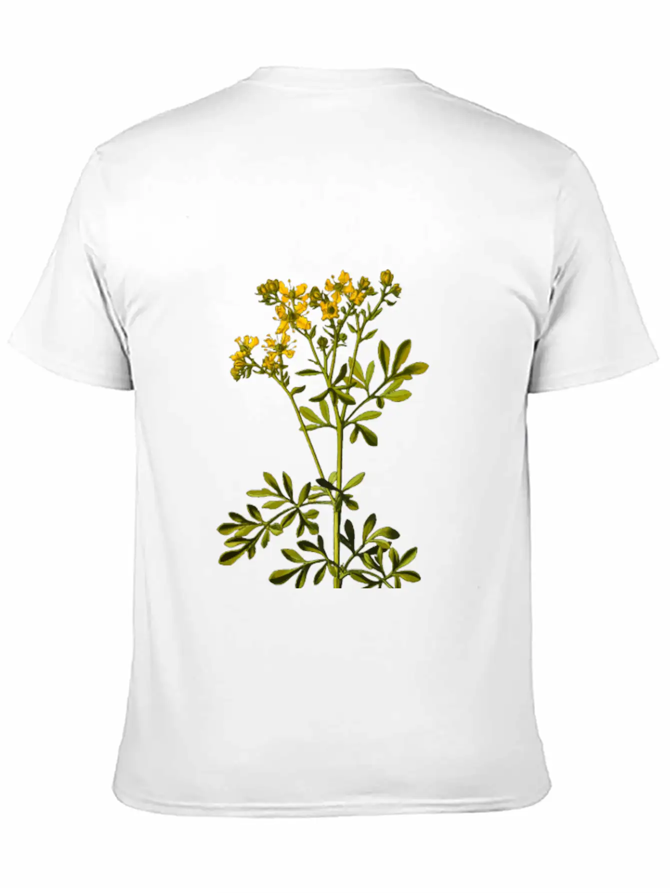 Common Rue (detailed) Breathable Soft Cotton T-Shirt – Timeless Casual Look
