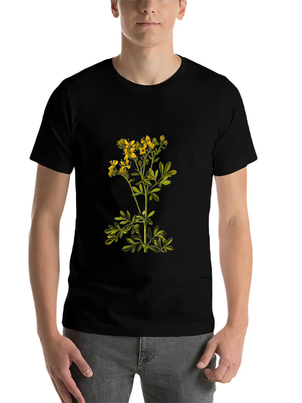 Common Rue (detailed) Breathable Soft Cotton T-Shirt – Timeless Casual Look