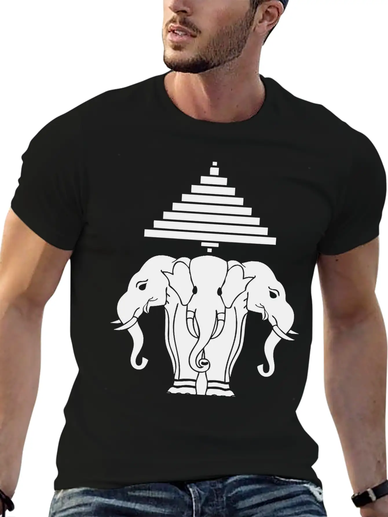 Erawan Lao / Laos Flag Classic Cotton Tee – Unisex Comfort For Any Season