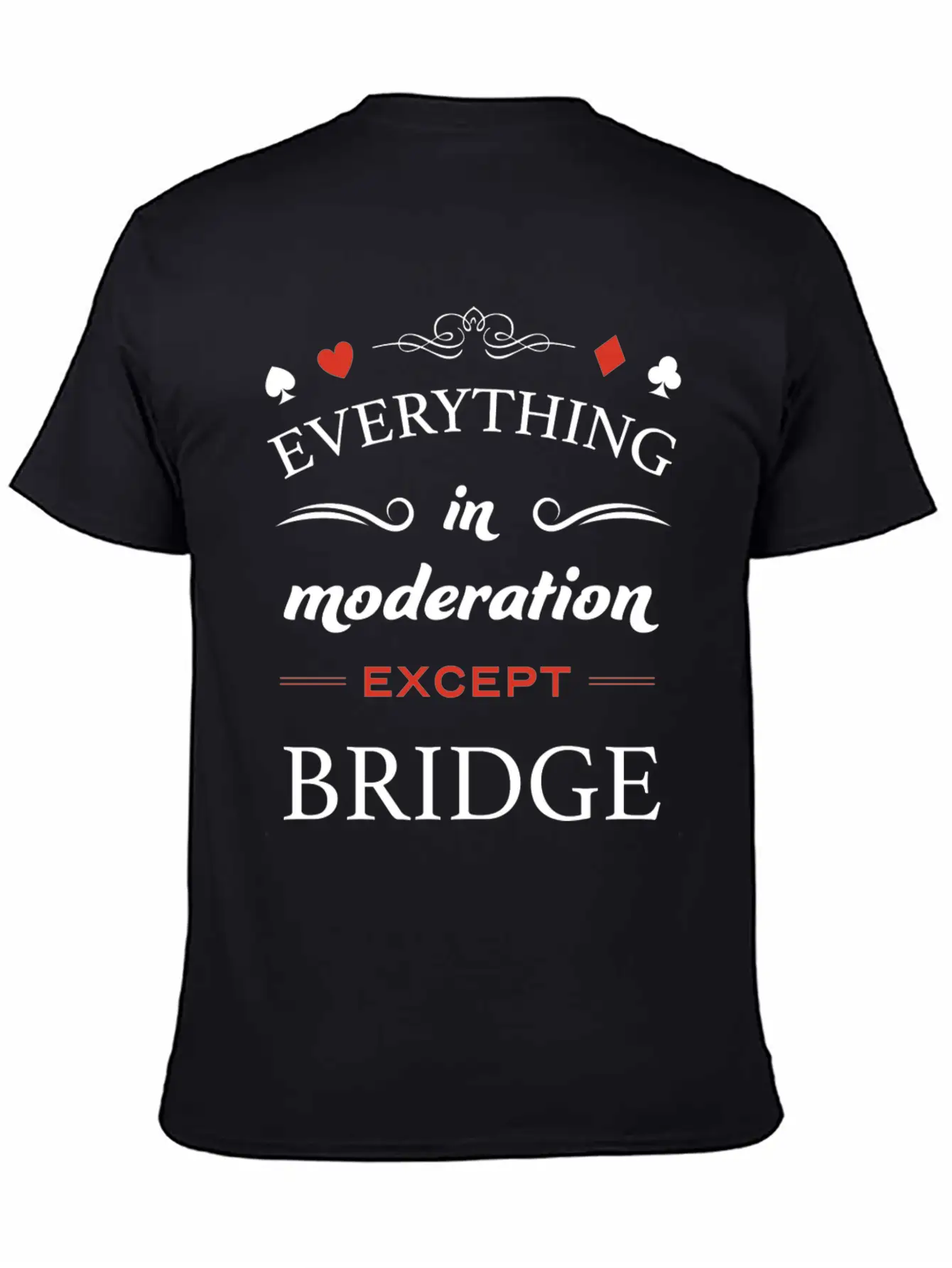 Everything In Moderation Except Bridge For Breathable Graphic T-Shirt – Perfect For Casual Days