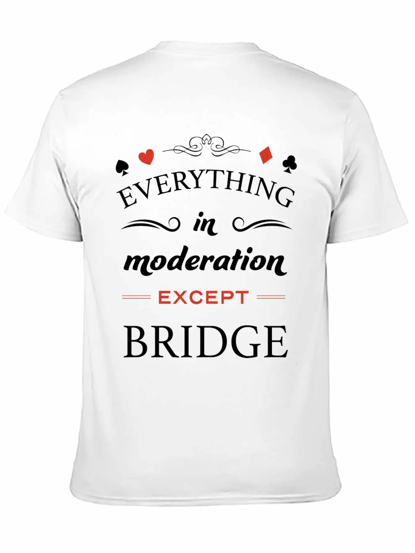 Everything In Moderation Except Bridge For Breathable Graphic T-Shirt – Perfect For Casual Days