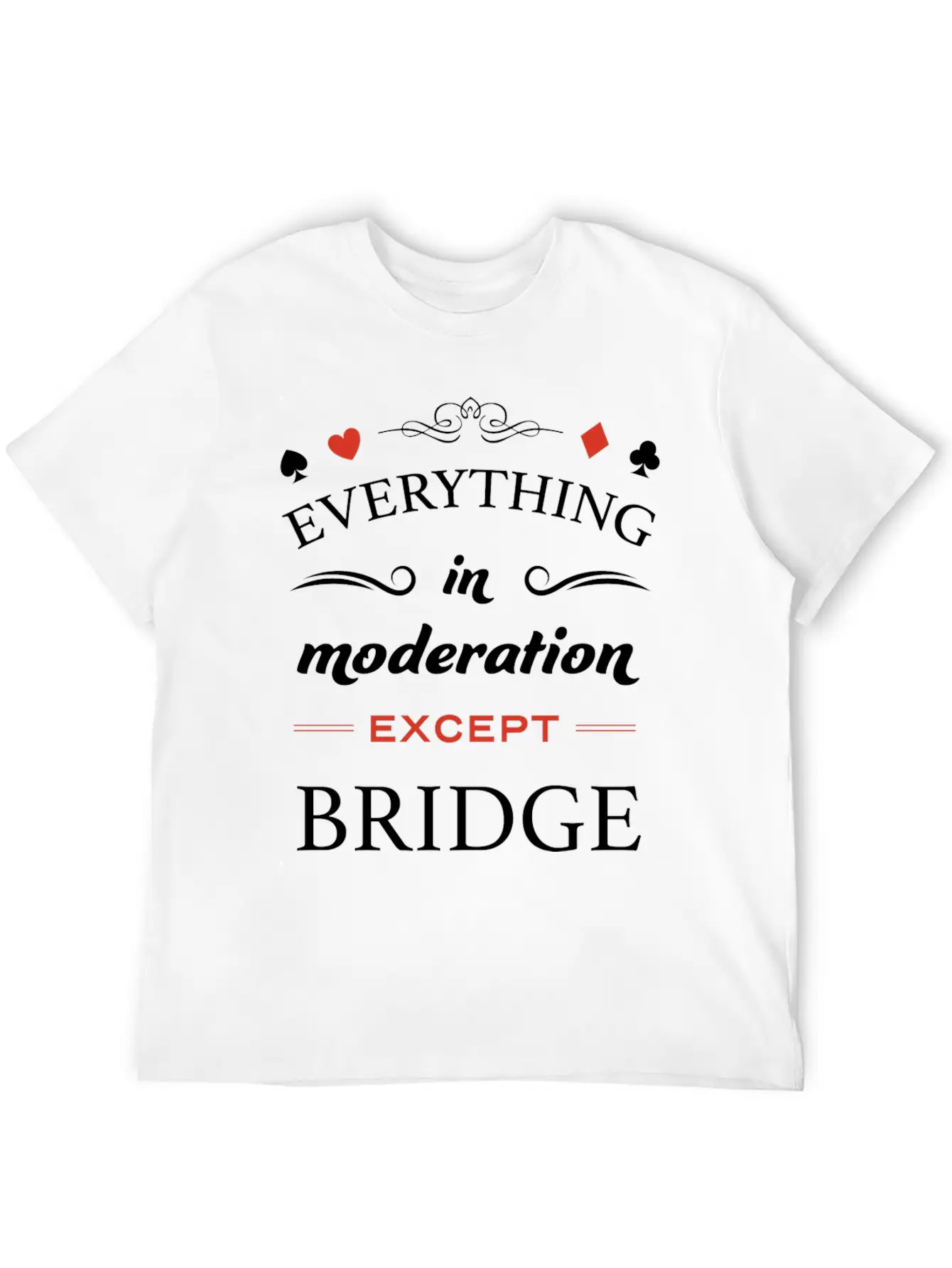 Everything In Moderation Except Bridge For Breathable Graphic T-Shirt – Perfect For Casual Days
