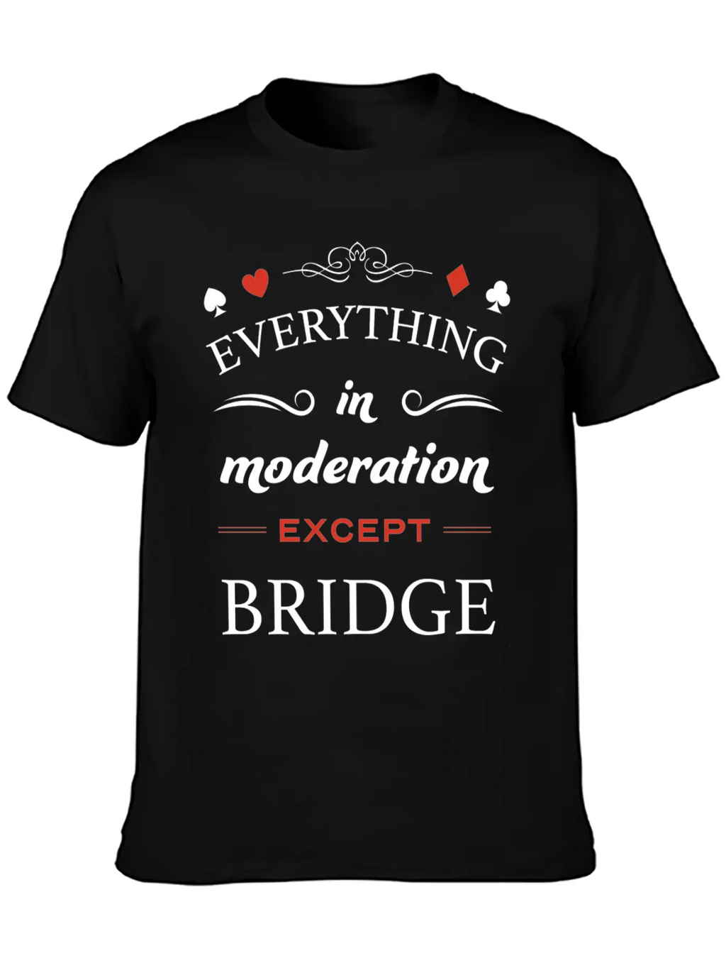 Everything In Moderation Except Bridge For Breathable Graphic T-Shirt – Perfect For Casual Days