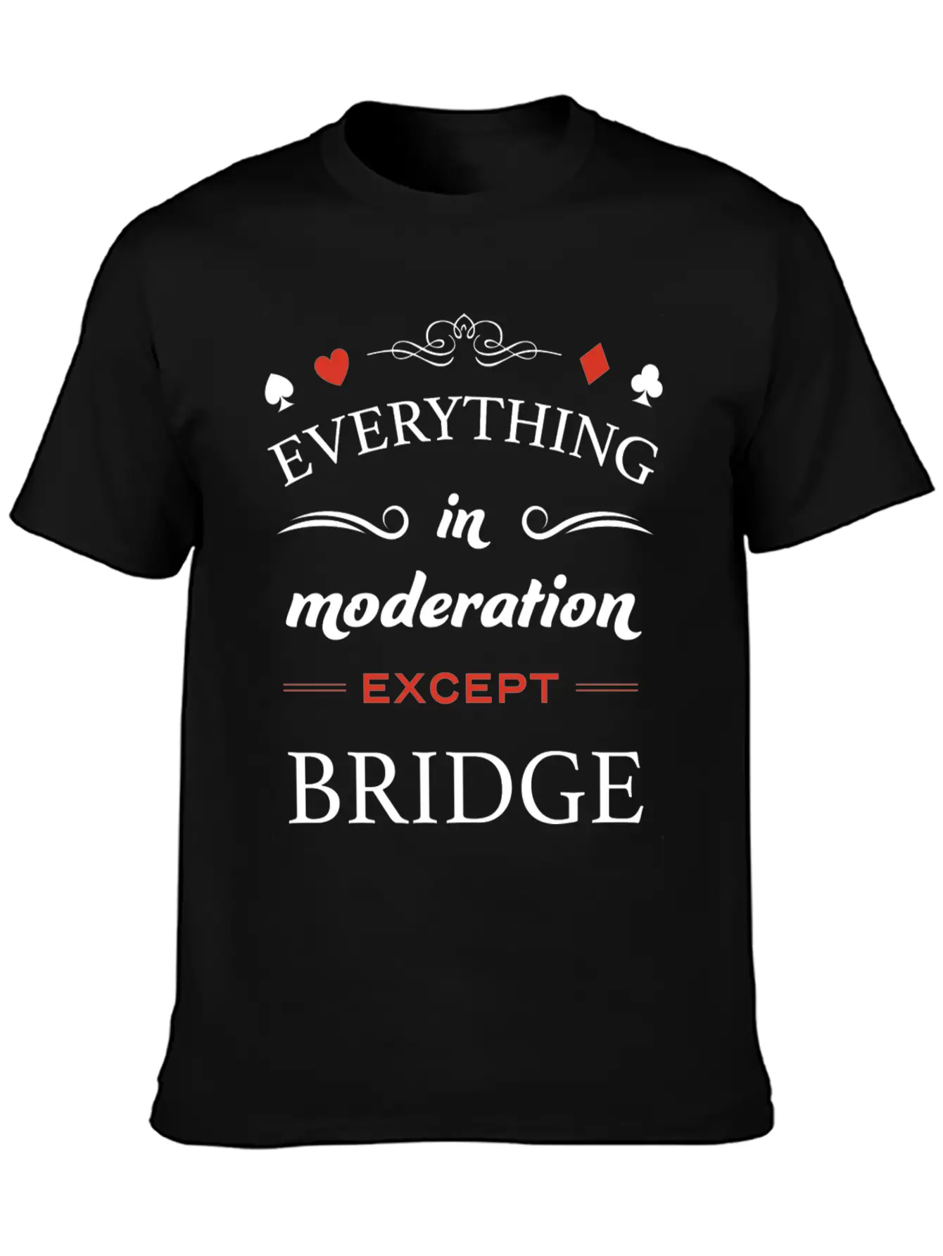 Everything In Moderation Except Bridge For Breathable Graphic T-Shirt – Perfect For Casual Days