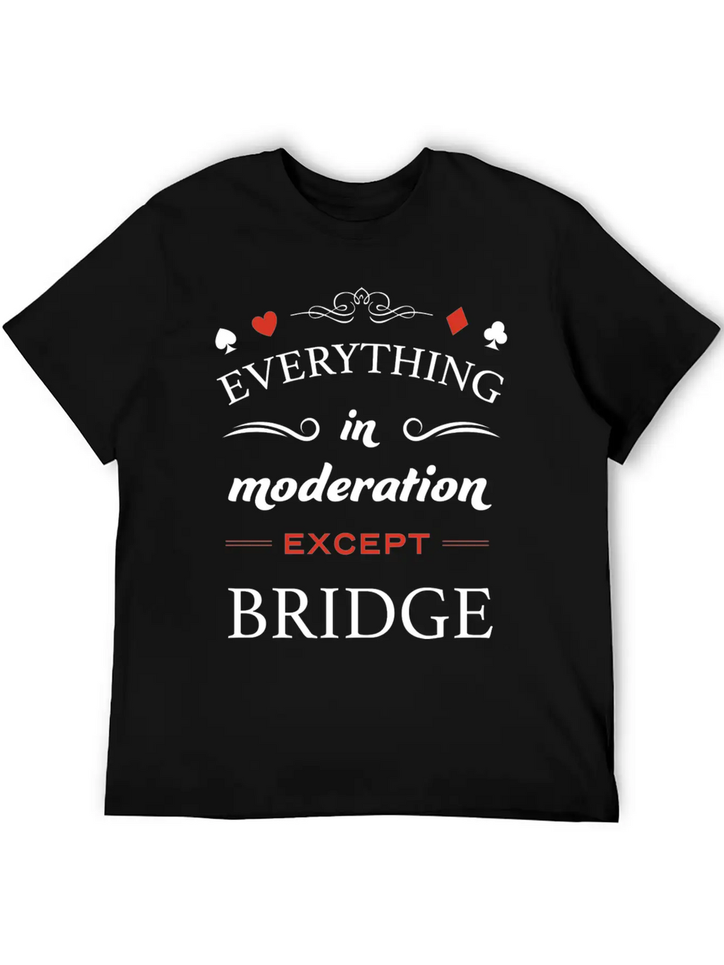 Everything In Moderation Except Bridge For Breathable Graphic T-Shirt – Perfect For Casual Days