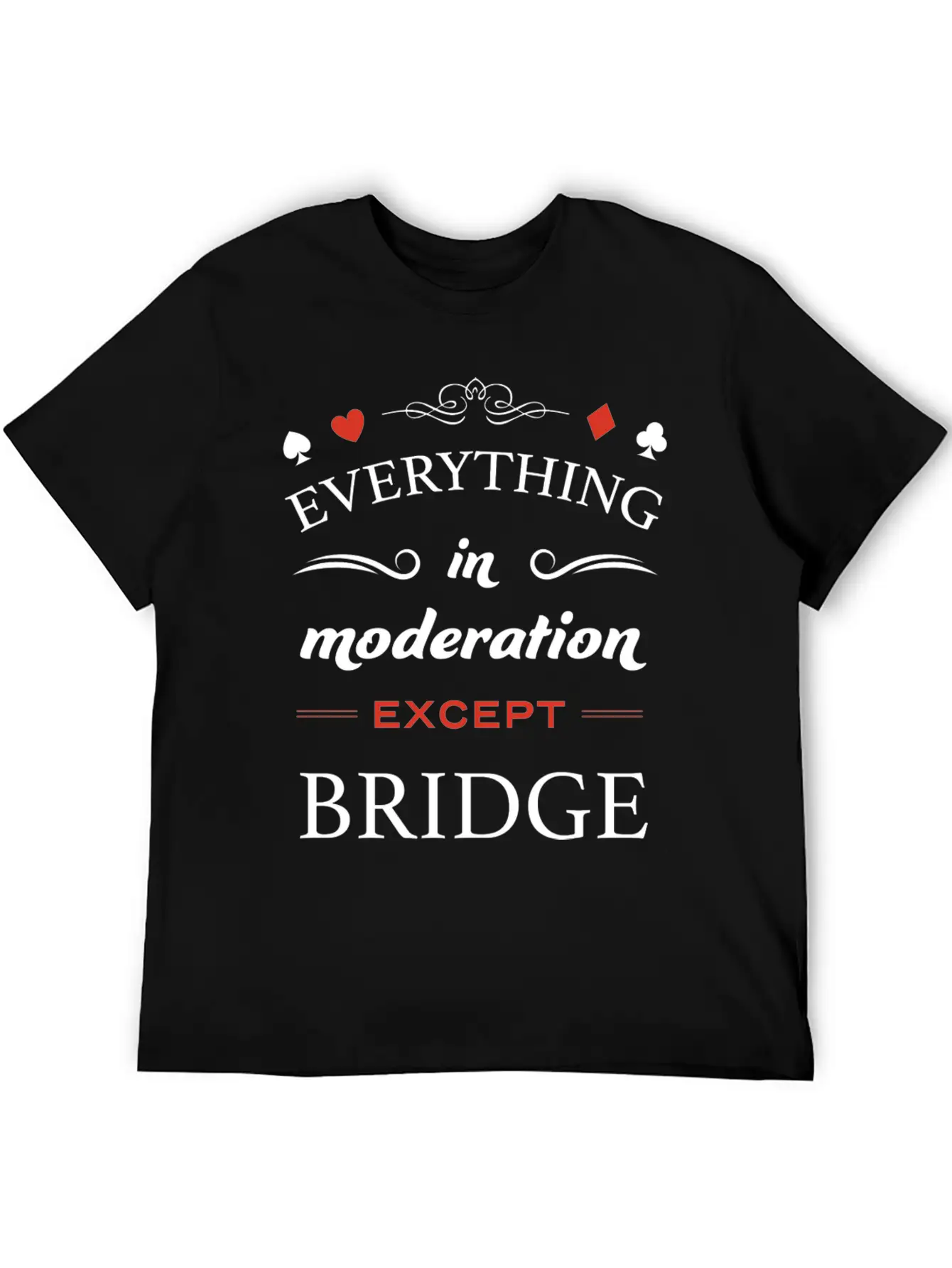 Everything In Moderation Except Bridge For Breathable Graphic T-Shirt – Perfect For Casual Days
