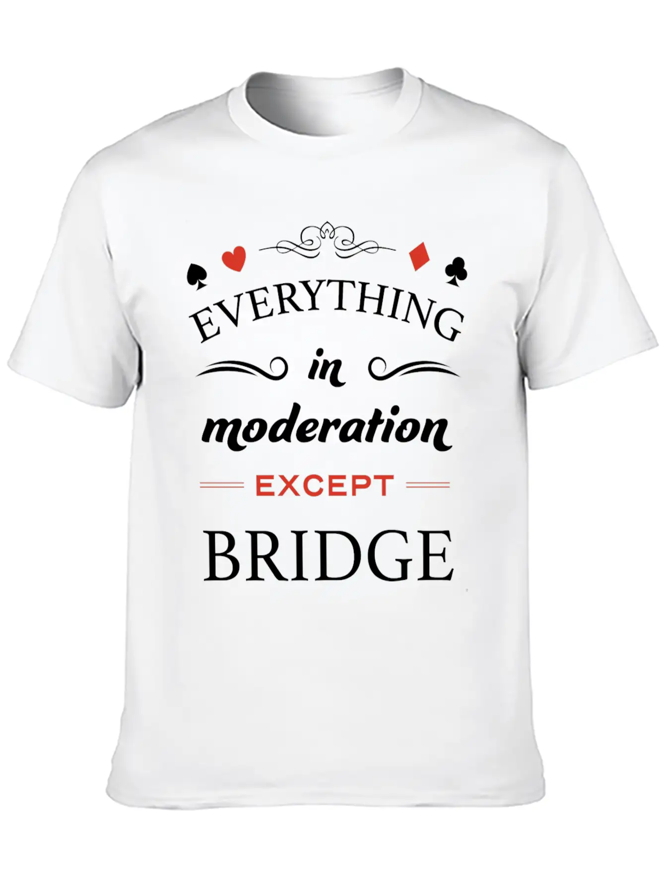 Everything In Moderation Except Bridge For Breathable Graphic T-Shirt – Perfect For Casual Days