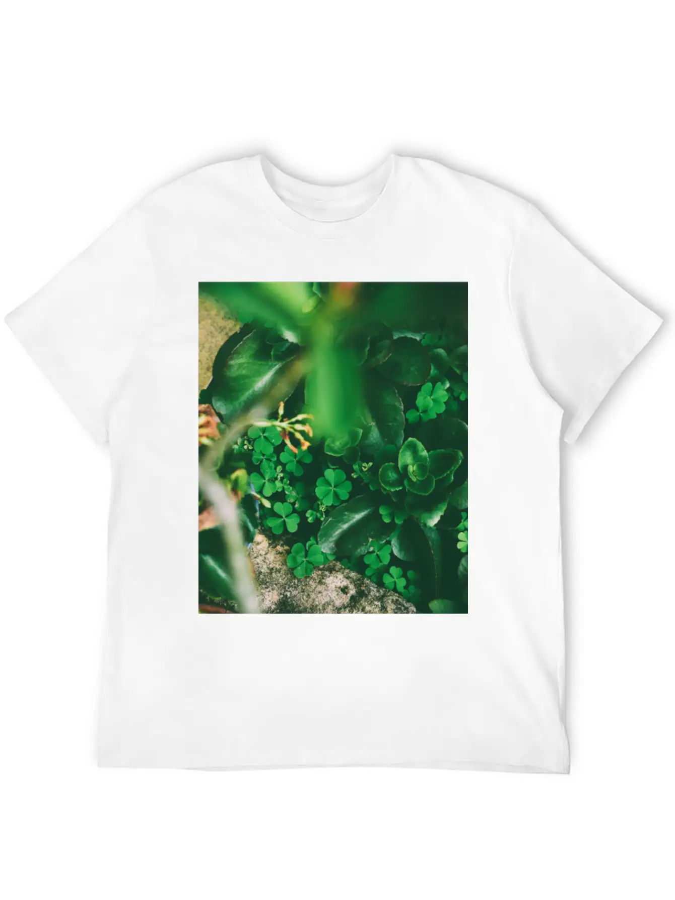 Four Leaf Clover Basic Graphic T-Shirt – Daily Comfort In Soft Cotton