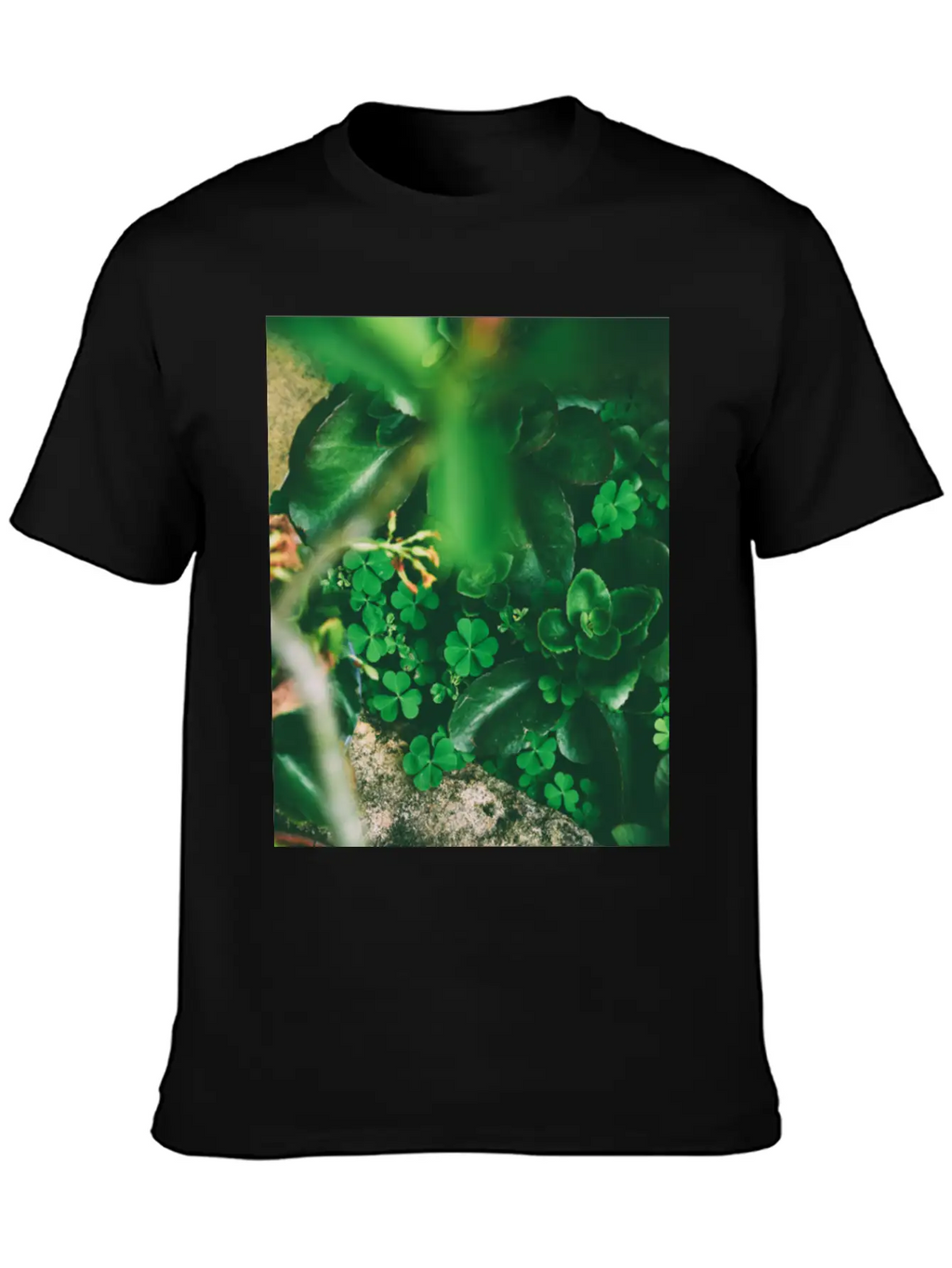 Four Leaf Clover Basic Graphic T-Shirt – Daily Comfort In Soft Cotton
