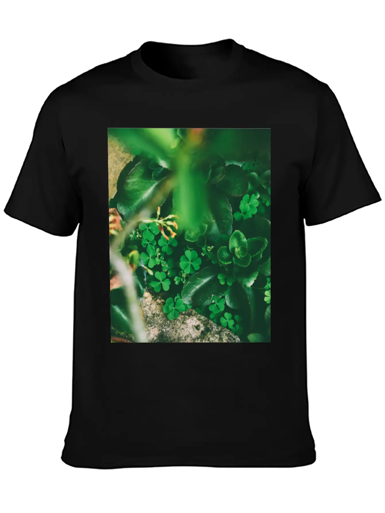 Four Leaf Clover Basic Graphic T-Shirt – Daily Comfort In Soft Cotton