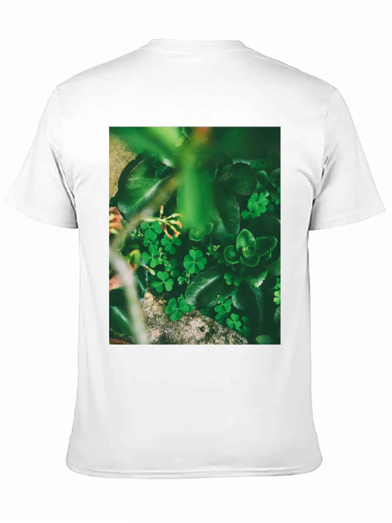 Four Leaf Clover Basic Graphic T-Shirt – Daily Comfort In Soft Cotton