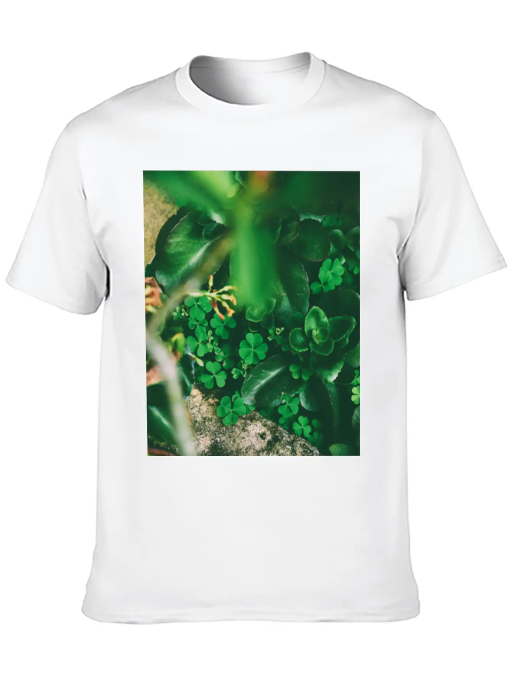 Four Leaf Clover Basic Graphic T-Shirt – Daily Comfort In Soft Cotton