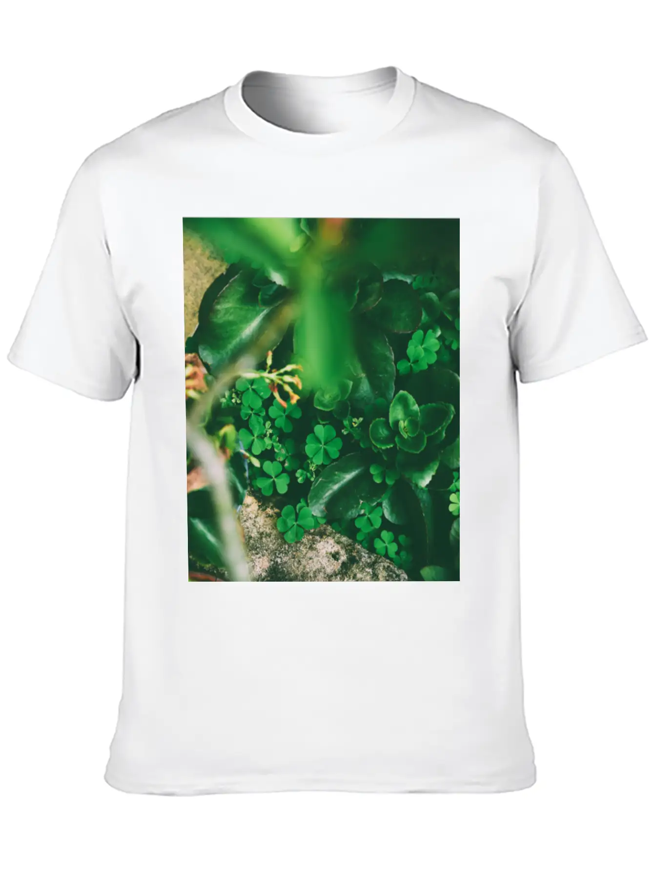 Four Leaf Clover Basic Graphic T-Shirt – Daily Comfort In Soft Cotton