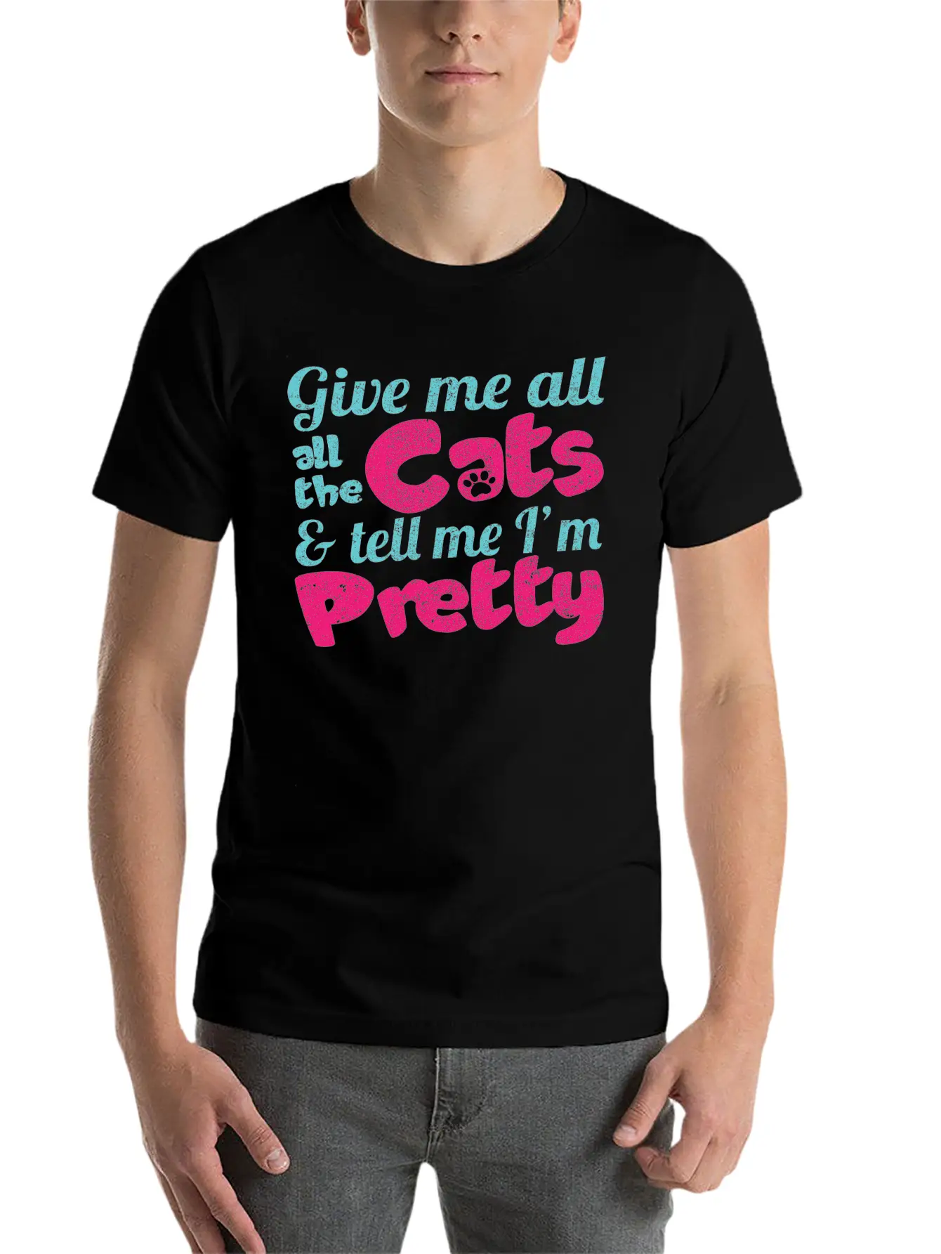 Give Me All The Cats & Tell Me I'm Pretty Timeless Short Sleeve Tee – Comfy And Minimalist Design