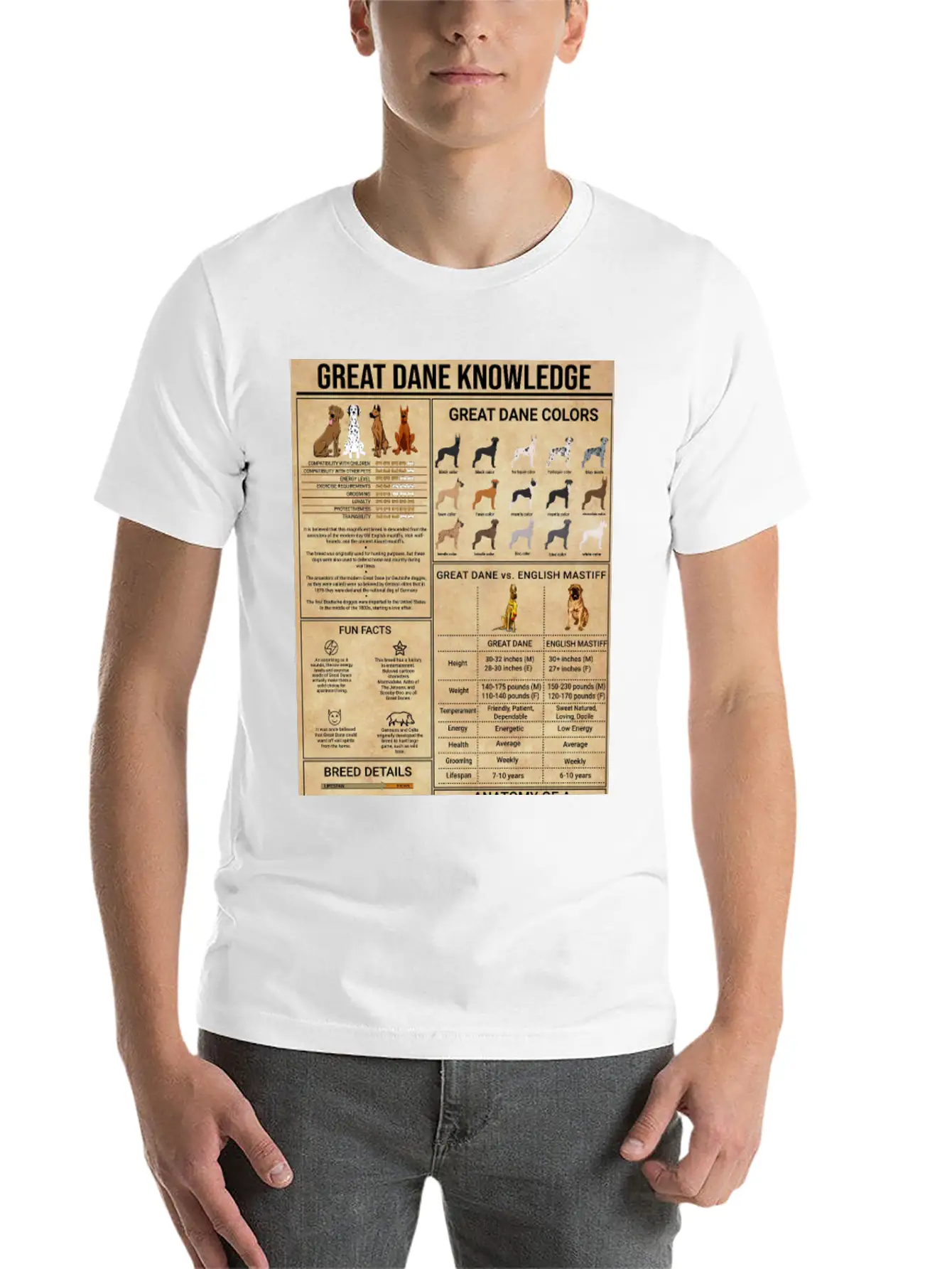 Great Dane Knowledge Poster, Vintage Home Decor Stylish Everyday T-Shirt – Unisex Basic Cotton Tee