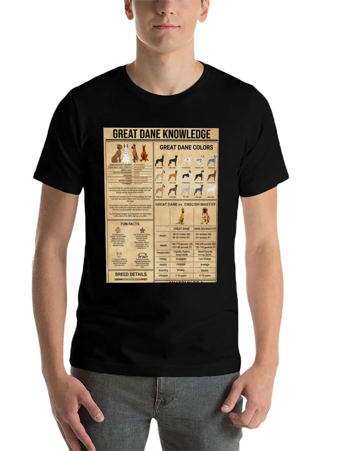 Great Dane Knowledge Poster, Vintage Home Decor Stylish Everyday T-Shirt – Unisex Basic Cotton Tee