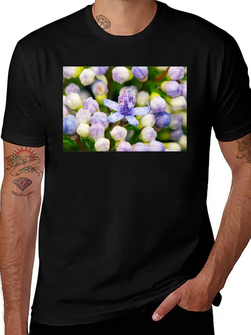 Hydrangea Flower Buds Classic Cotton Tee – Unisex Comfort For Any Season