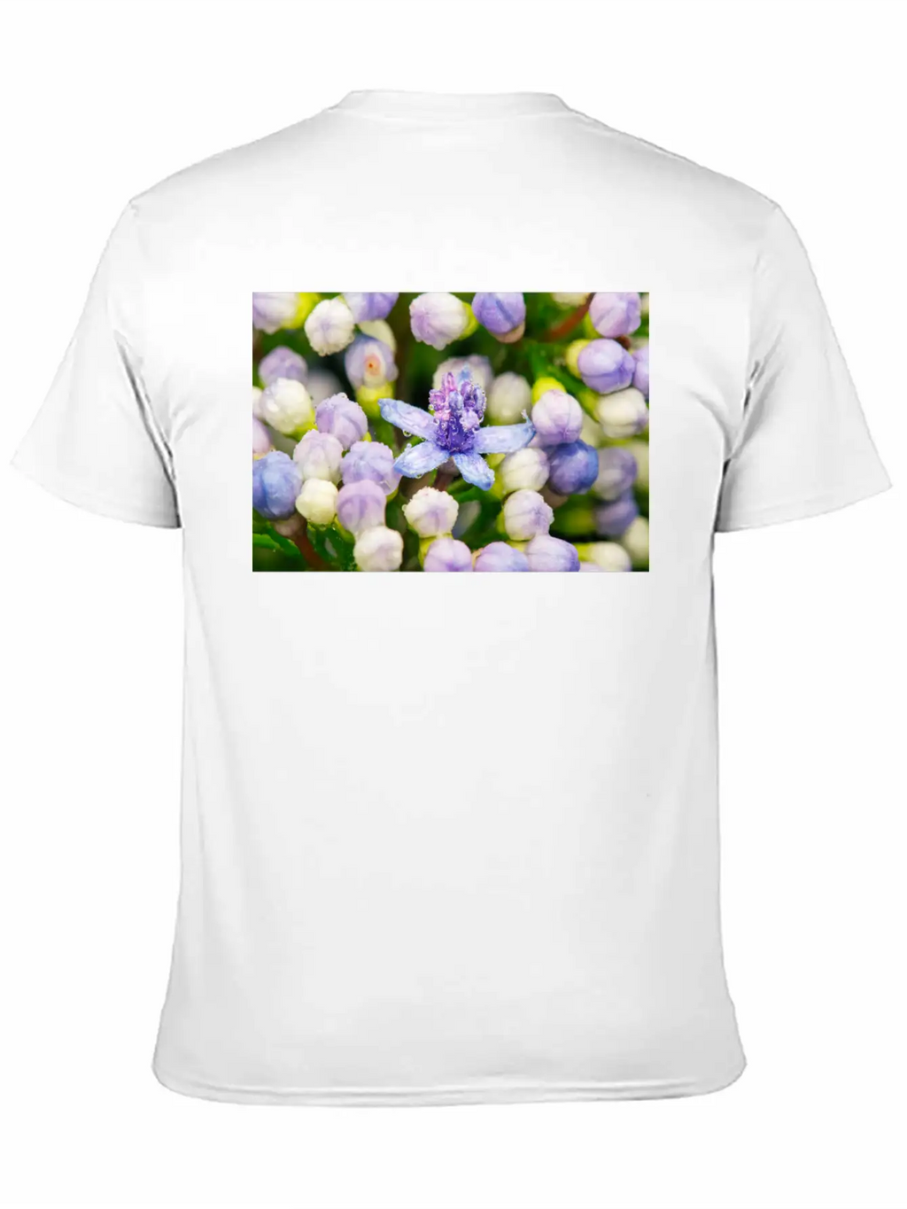 Hydrangea Flower Buds Classic Cotton Tee – Unisex Comfort For Any Season
