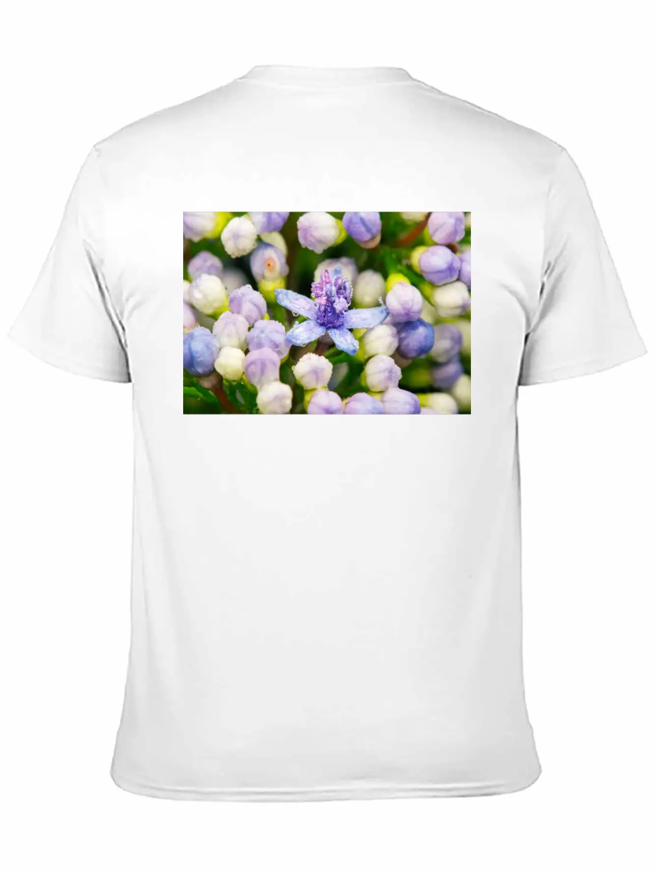 Hydrangea Flower Buds Classic Cotton Tee – Unisex Comfort For Any Season