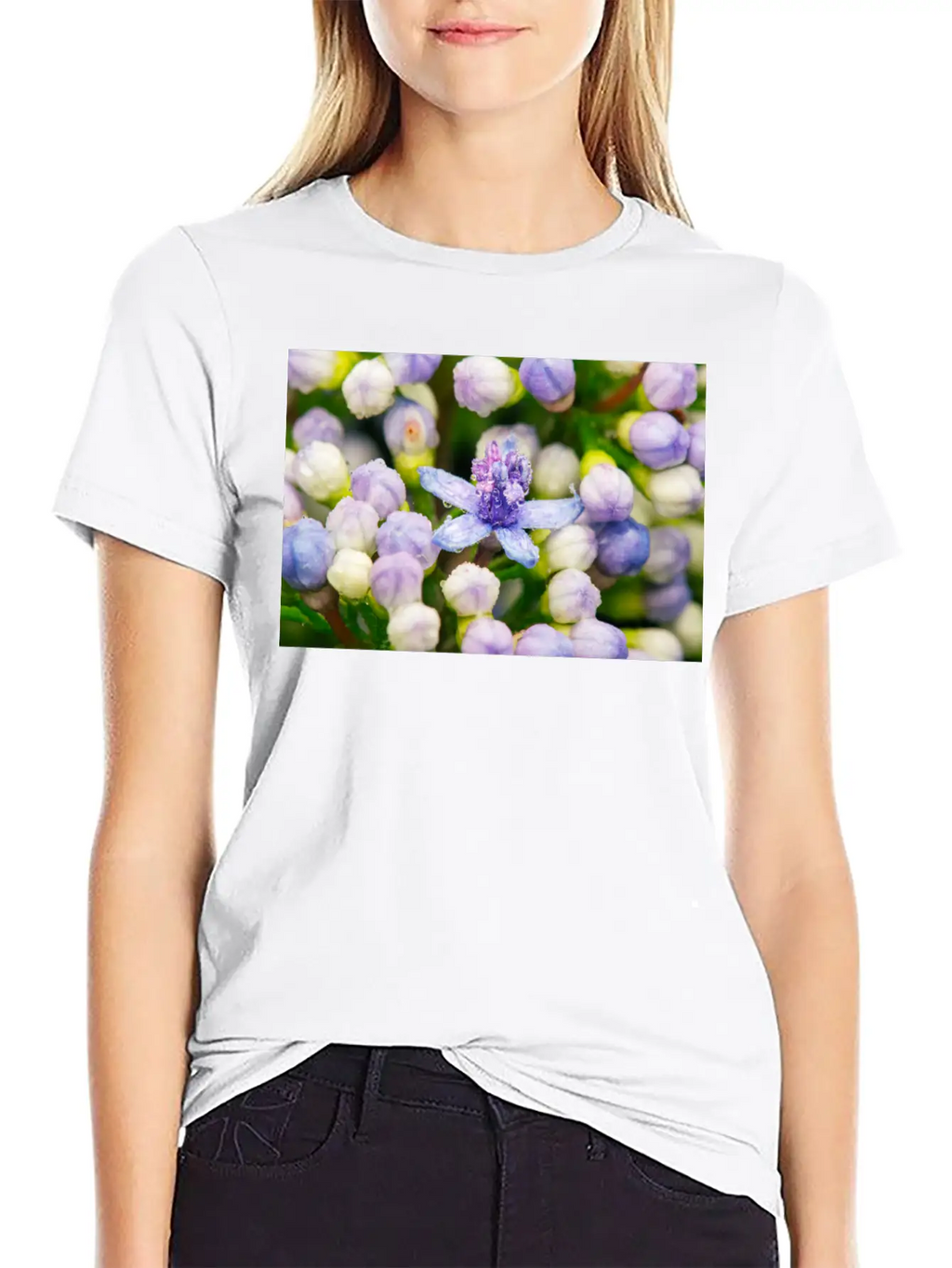 Hydrangea Flower Buds Classic Cotton Tee – Unisex Comfort For Any Season