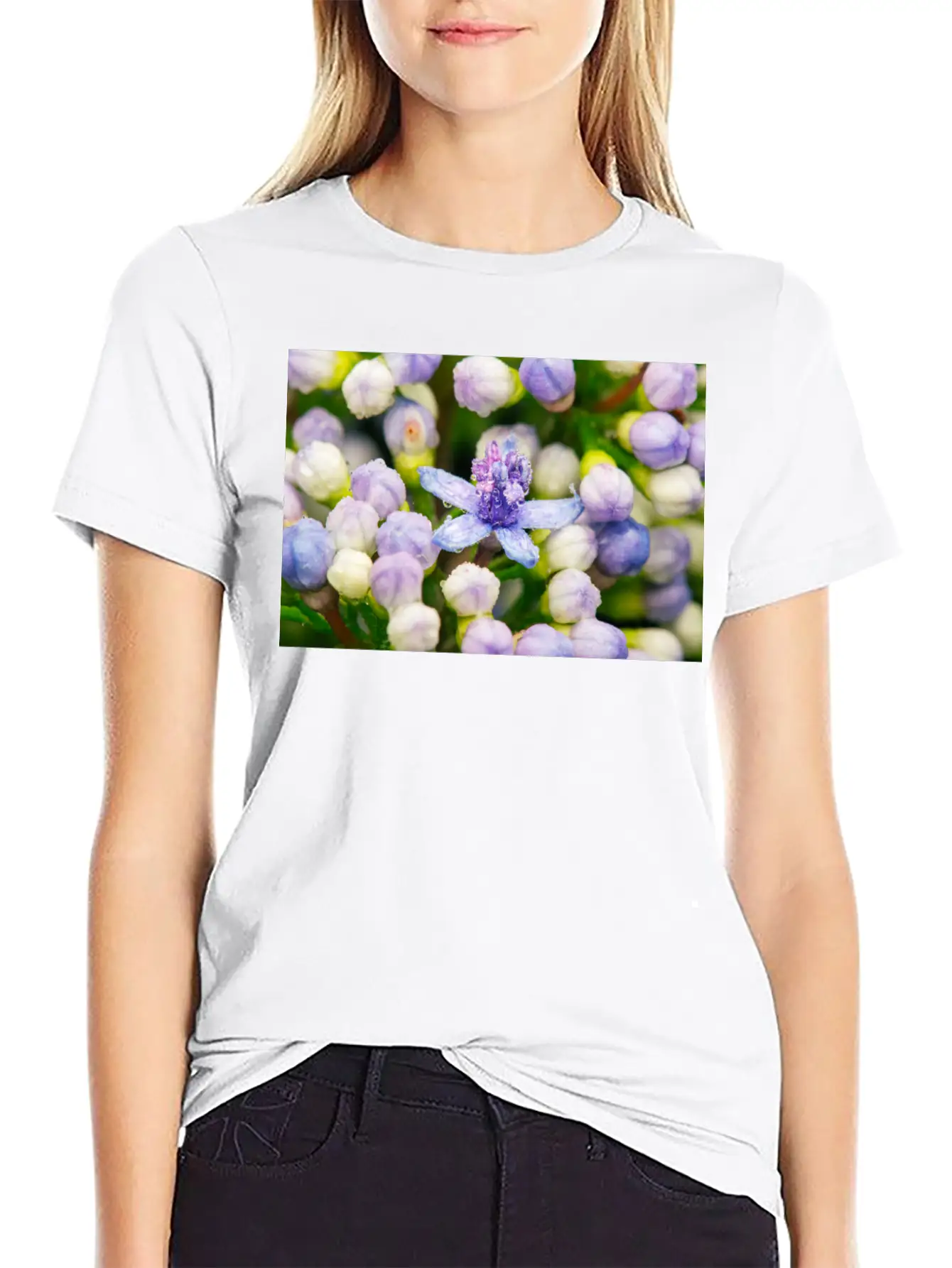 Hydrangea Flower Buds Classic Cotton Tee – Unisex Comfort For Any Season