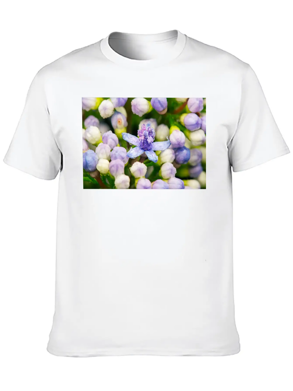 Hydrangea Flower Buds Classic Cotton Tee – Unisex Comfort For Any Season