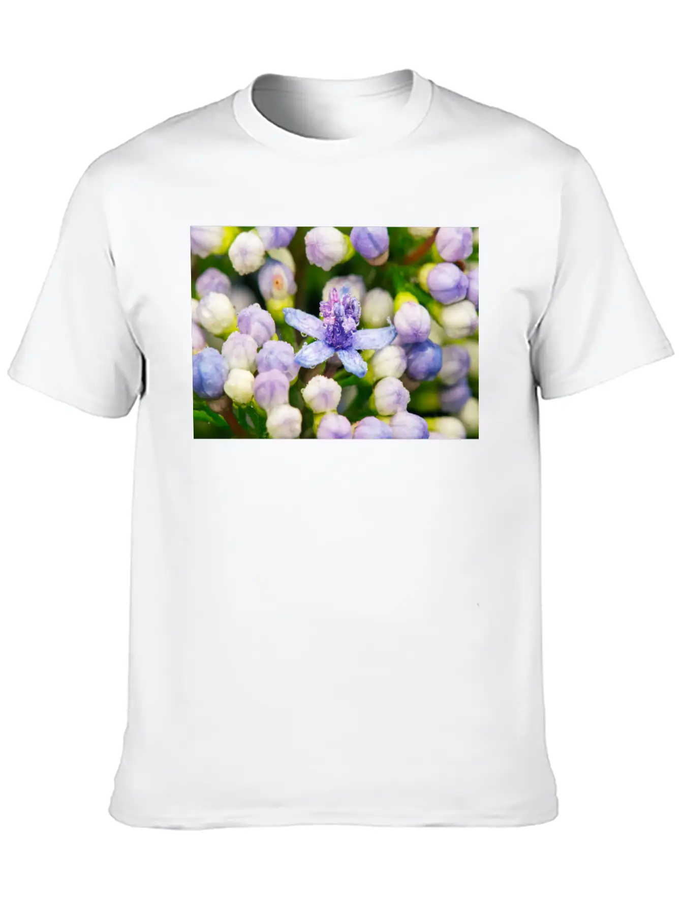 Hydrangea Flower Buds Classic Cotton Tee – Unisex Comfort For Any Season