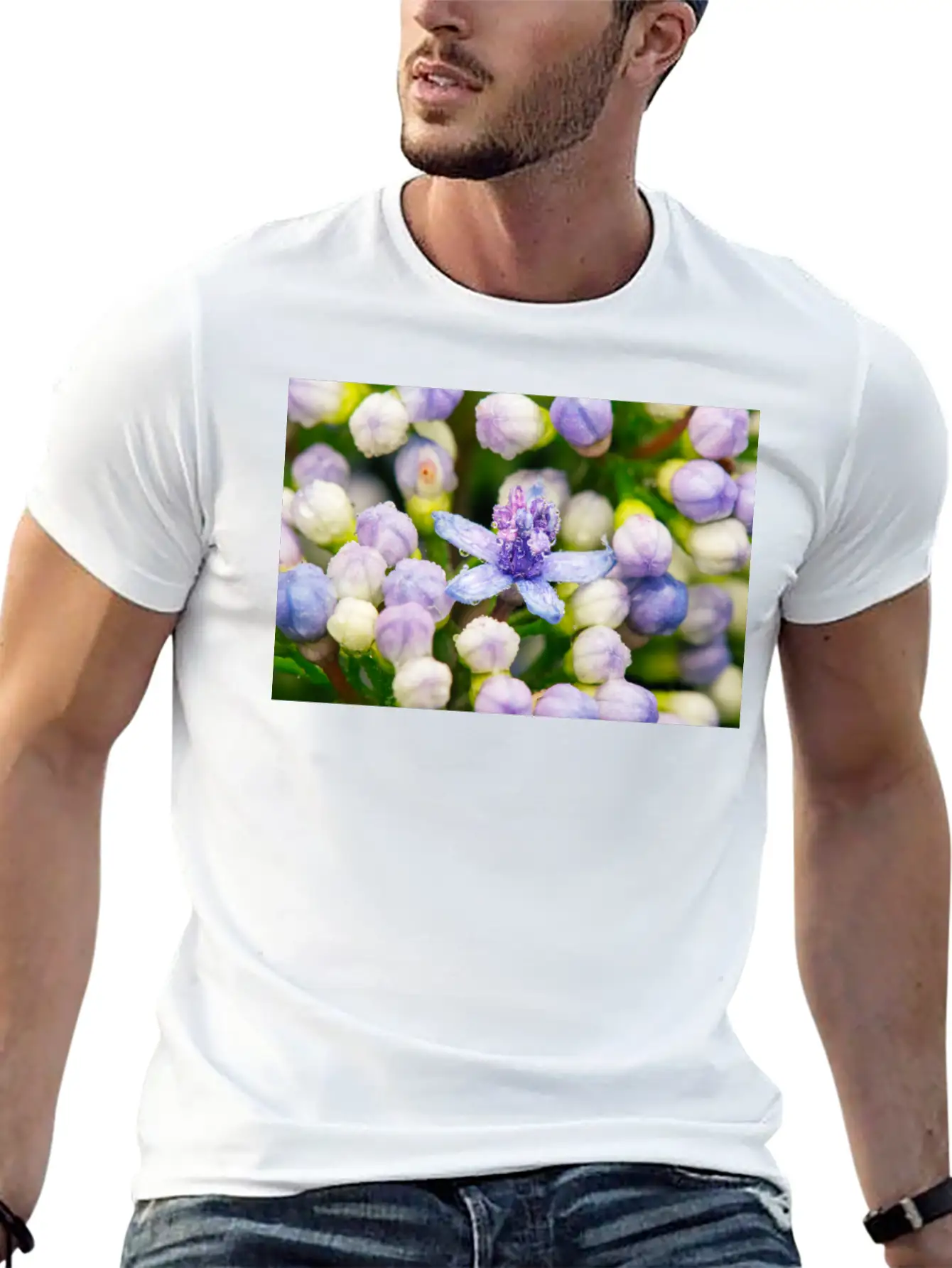 Hydrangea Flower Buds Classic Cotton Tee – Unisex Comfort For Any Season