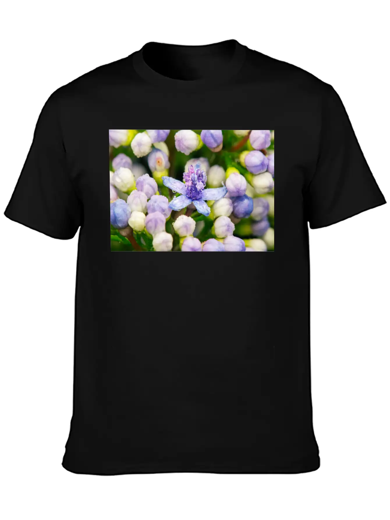 Hydrangea Flower Buds Classic Cotton Tee – Unisex Comfort For Any Season