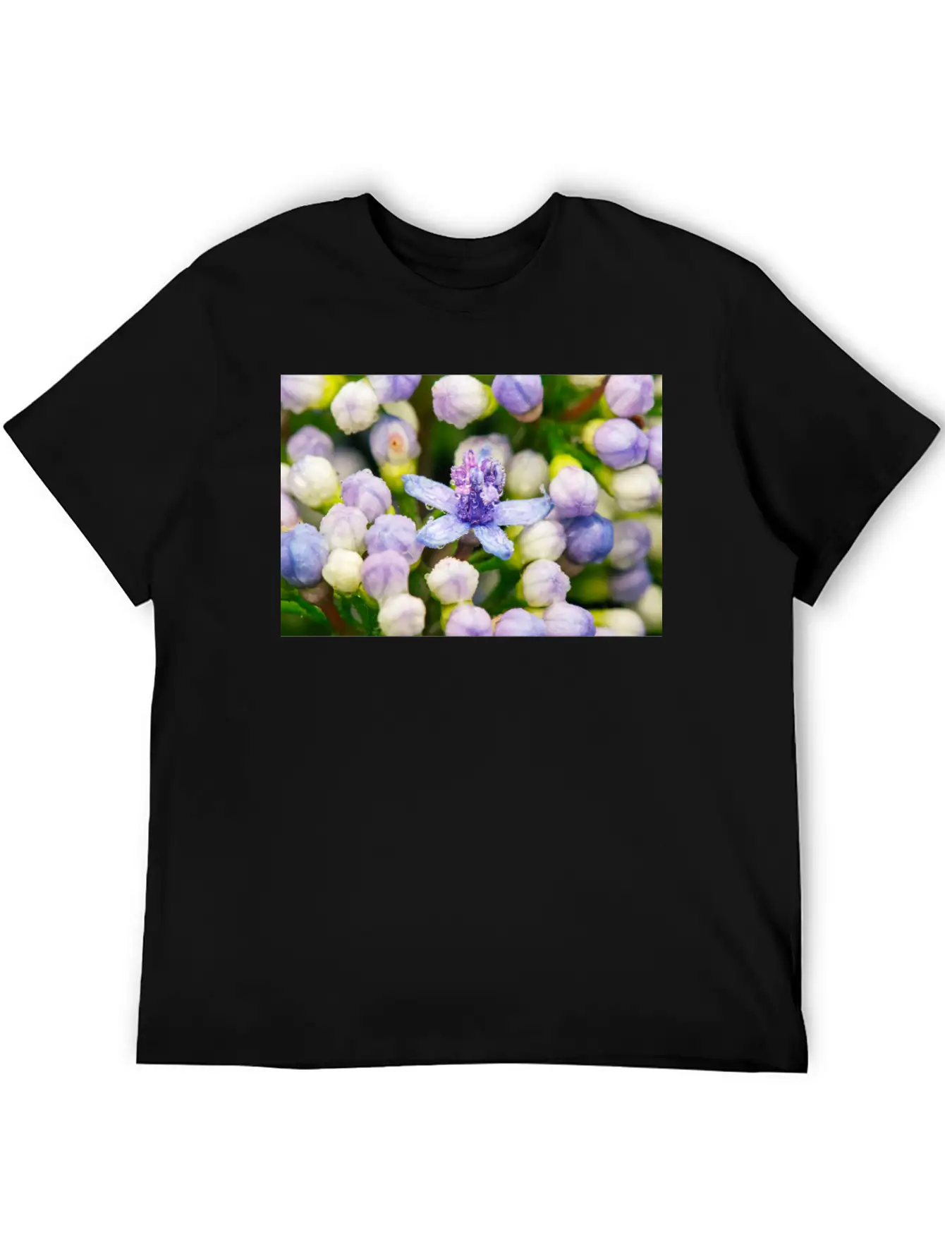 Hydrangea Flower Buds Classic Cotton Tee – Unisex Comfort For Any Season
