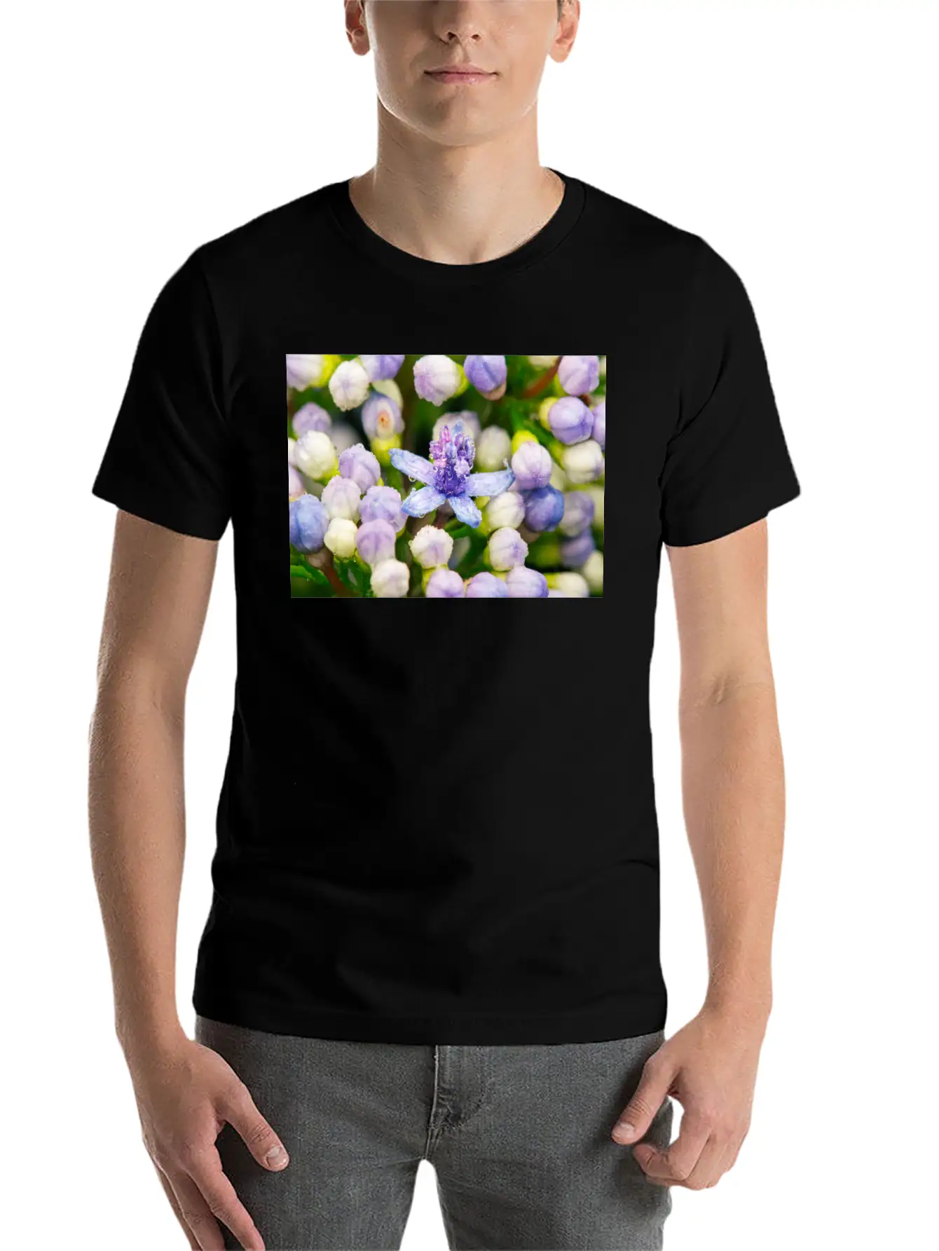 Hydrangea Flower Buds Classic Cotton Tee – Unisex Comfort For Any Season