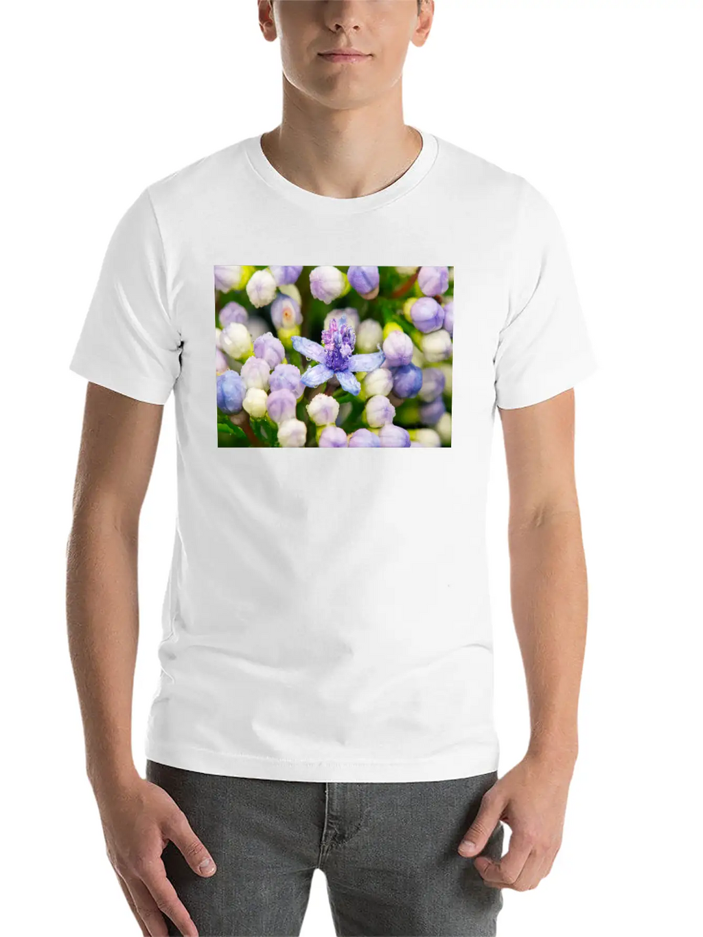 Hydrangea Flower Buds Classic Cotton Tee – Unisex Comfort For Any Season