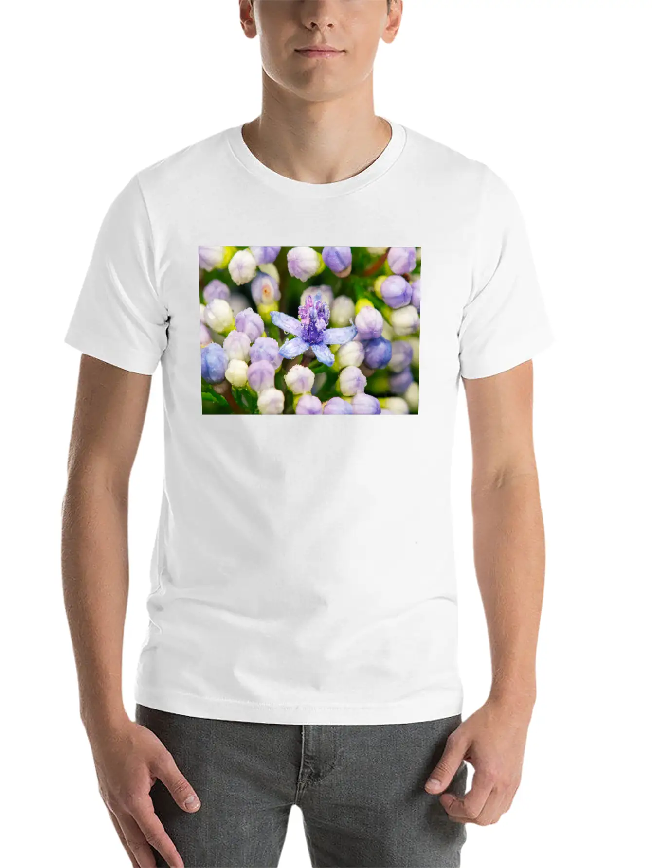 Hydrangea Flower Buds Classic Cotton Tee – Unisex Comfort For Any Season