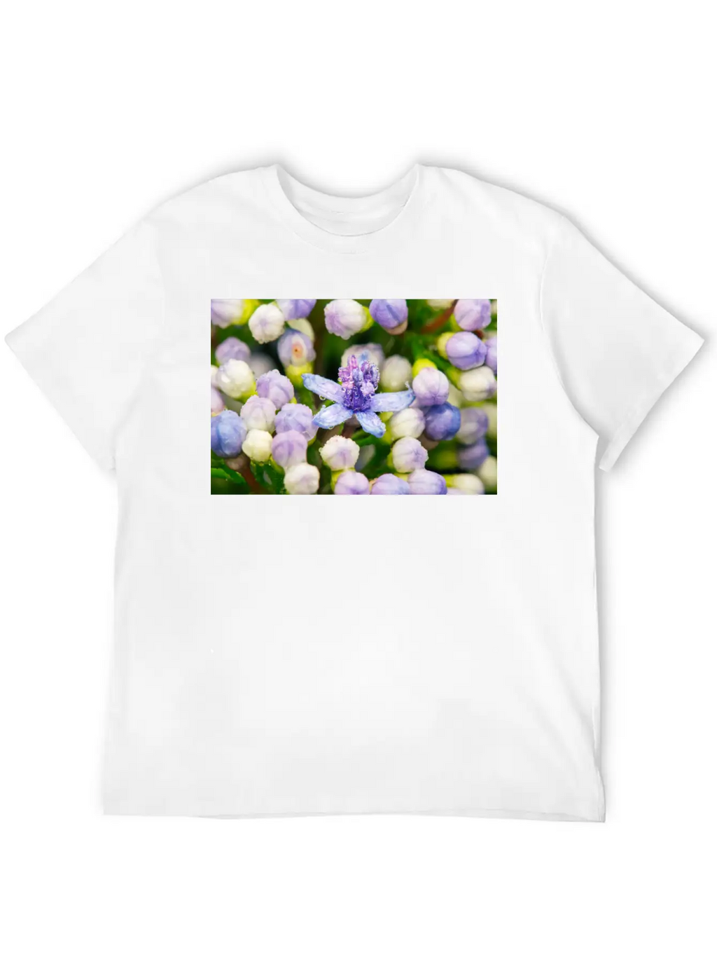 Hydrangea Flower Buds Classic Cotton Tee – Unisex Comfort For Any Season