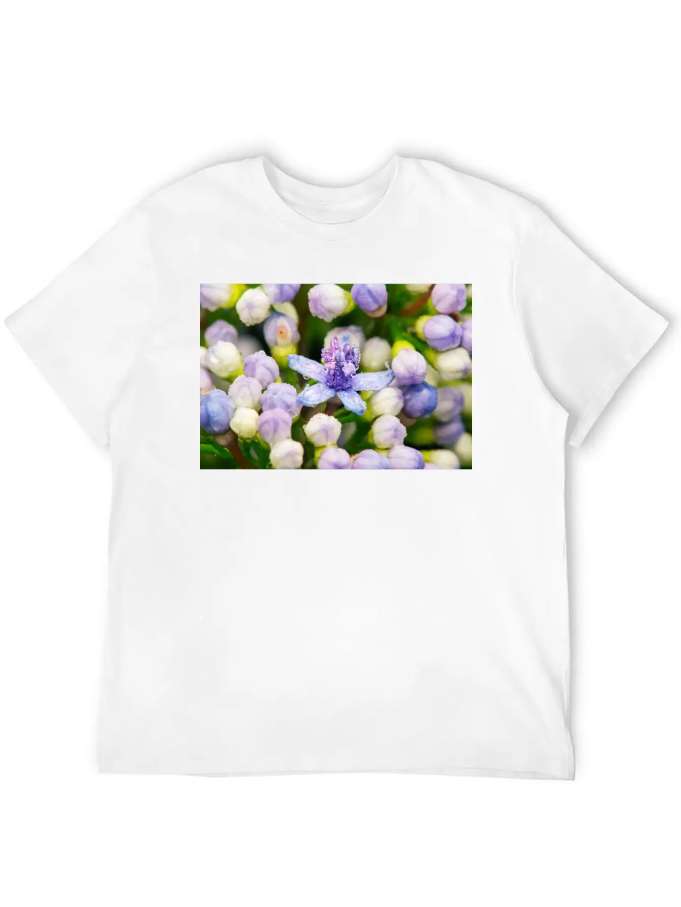 Hydrangea Flower Buds Classic Cotton Tee – Unisex Comfort For Any Season