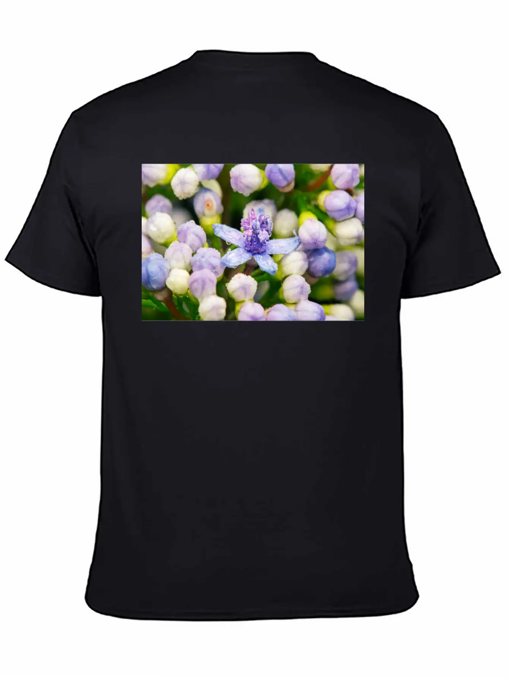 Hydrangea Flower Buds Classic Cotton Tee – Unisex Comfort For Any Season