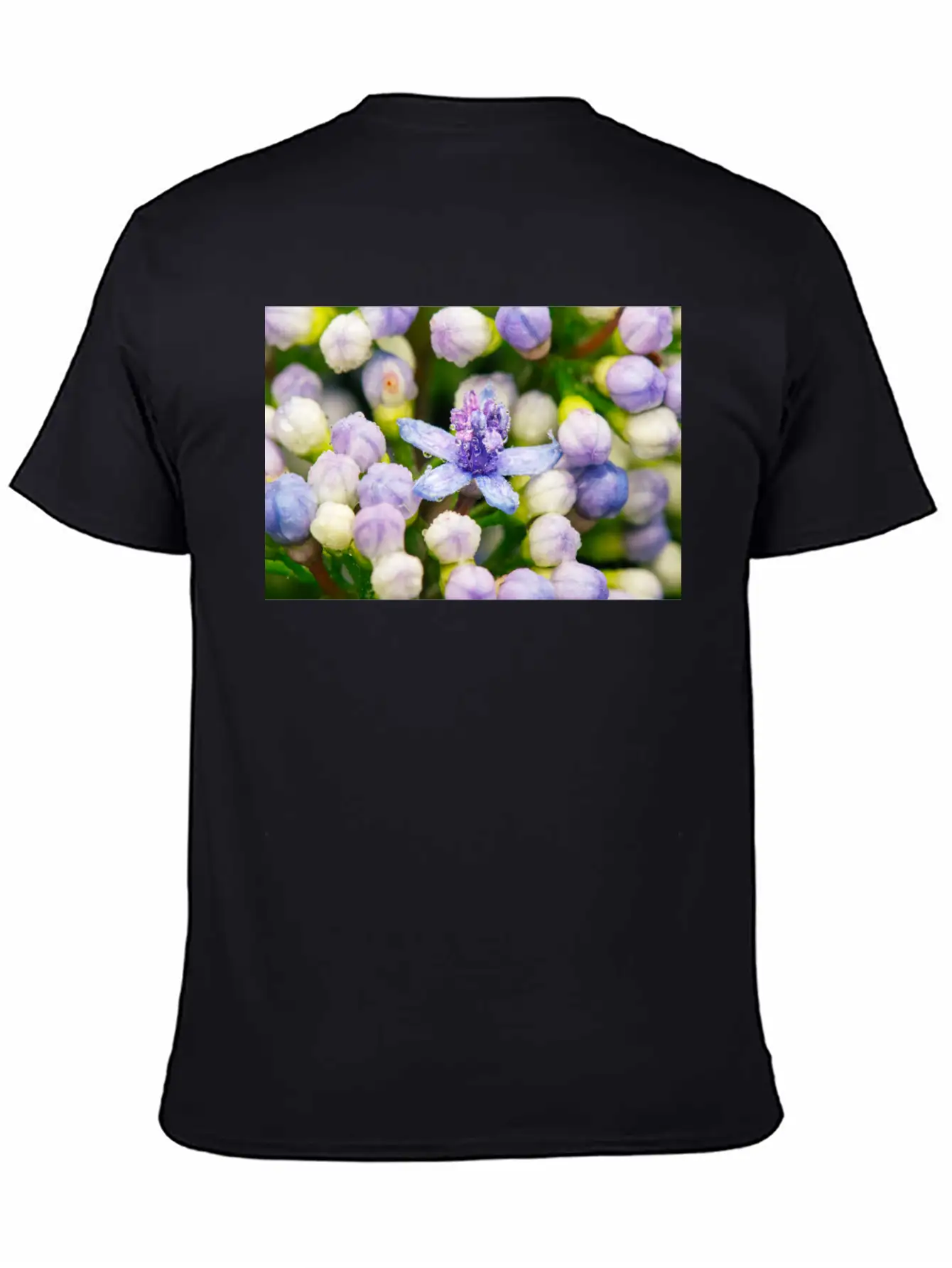 Hydrangea Flower Buds Classic Cotton Tee – Unisex Comfort For Any Season