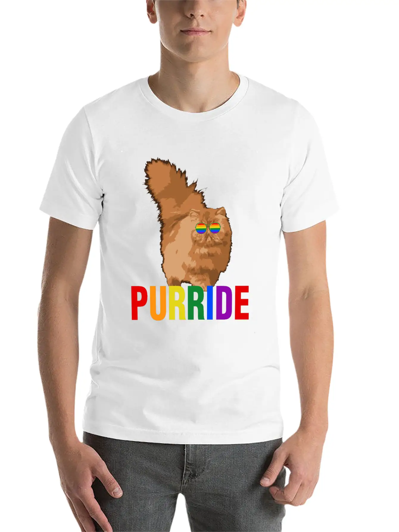 Lgbtq Pride Purride Rainbow Cat Gay Pride Support Essential Cotton Tee For Daily Outfits – Unisex Style