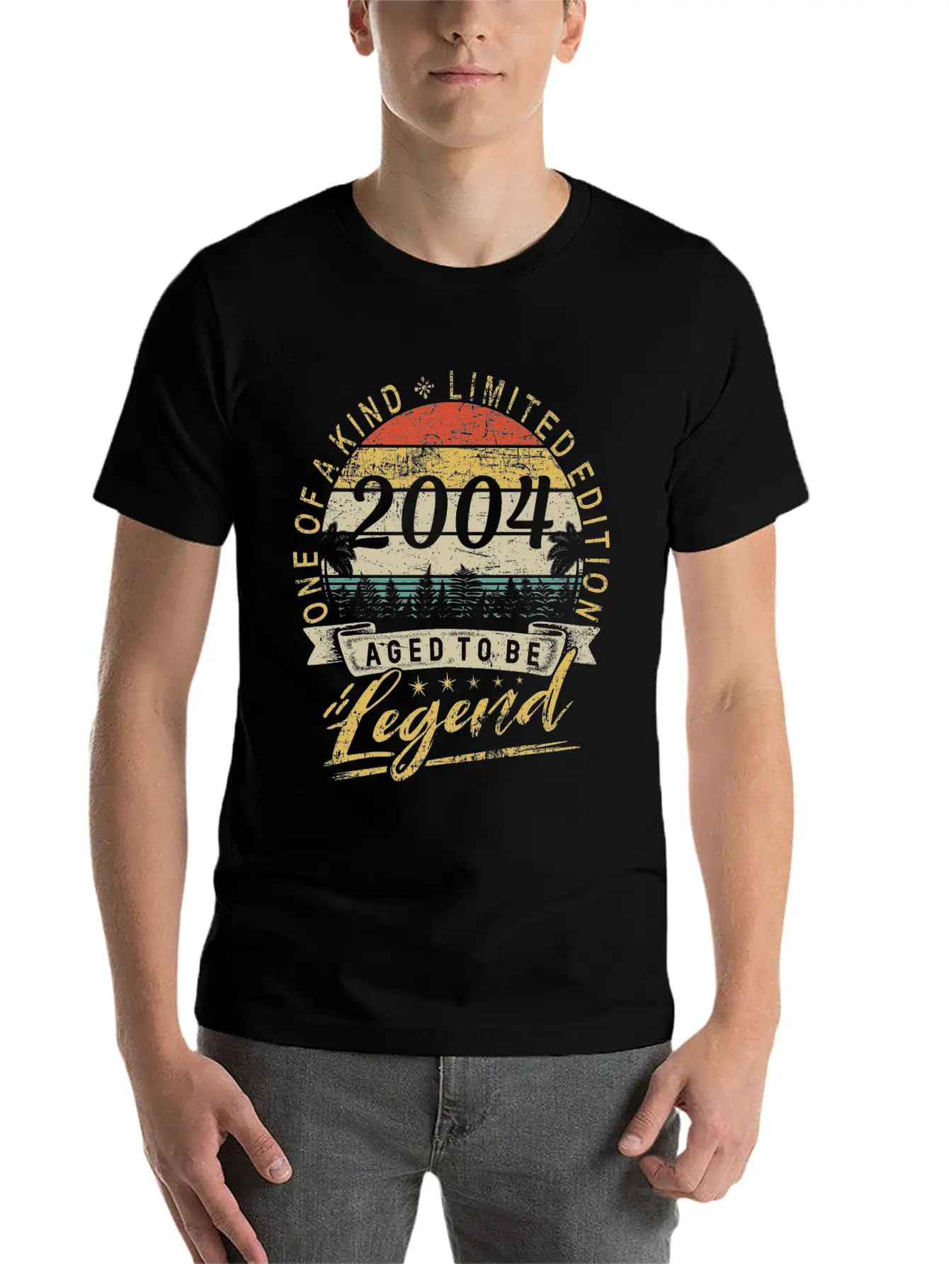 Limited Edition Year 2004 Birthday Retro Stylish Everyday T-Shirt – Unisex Basic Cotton Tee