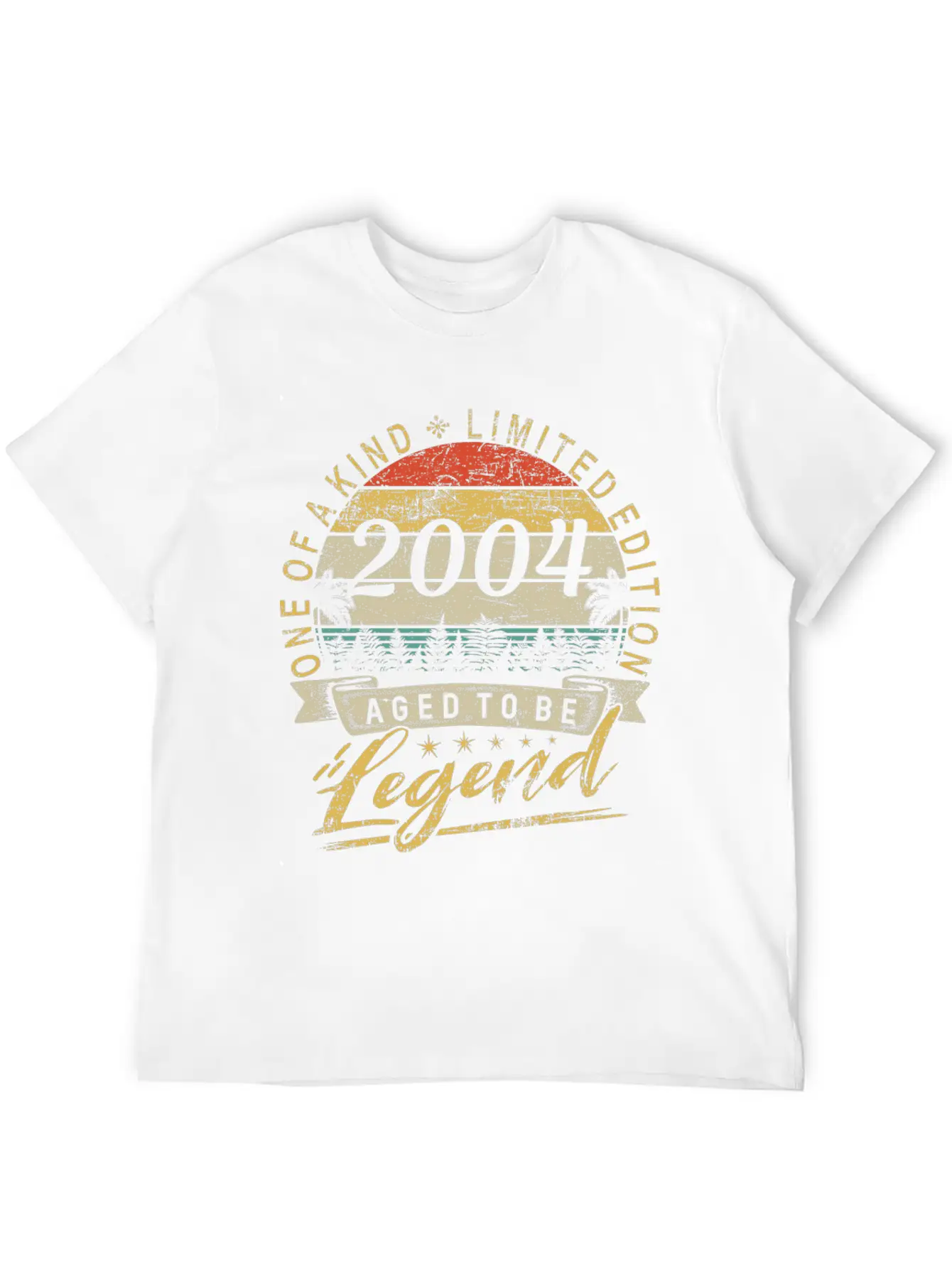 Limited Edition Year 2004 Birthday Retro Stylish Everyday T-Shirt – Unisex Basic Cotton Tee