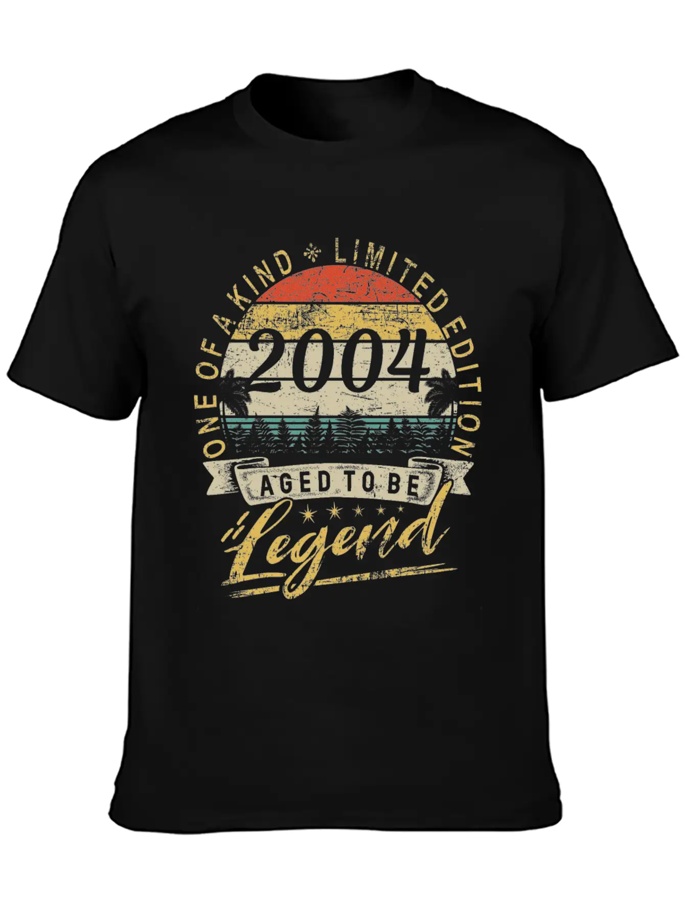 Limited Edition Year 2004 Birthday Retro Stylish Everyday T-Shirt – Unisex Basic Cotton Tee
