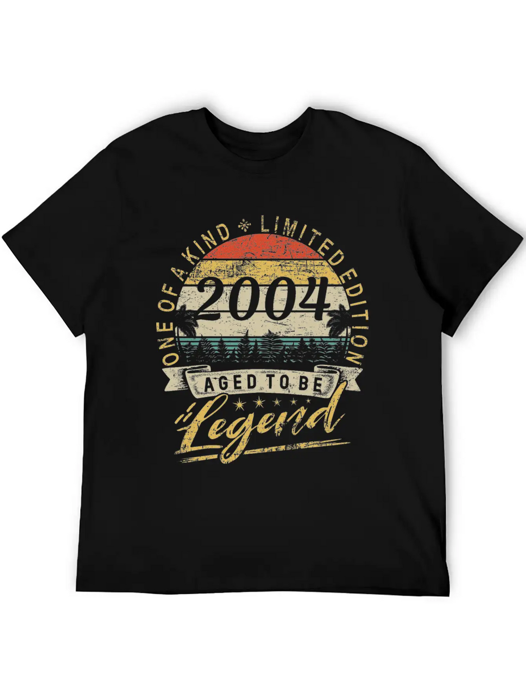 Limited Edition Year 2004 Birthday Retro Stylish Everyday T-Shirt – Unisex Basic Cotton Tee
