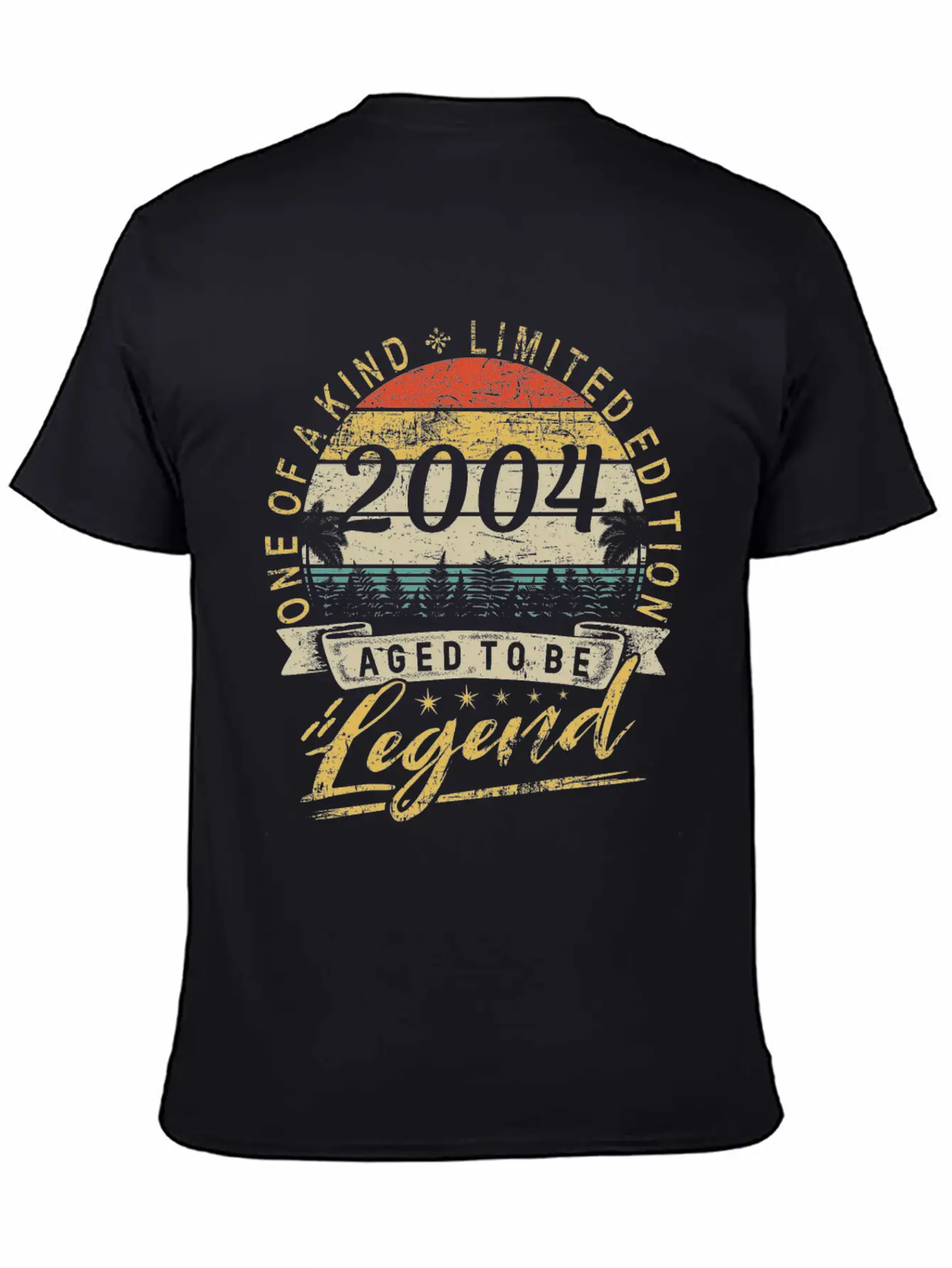 Limited Edition Year 2004 Birthday Retro Stylish Everyday T-Shirt – Unisex Basic Cotton Tee