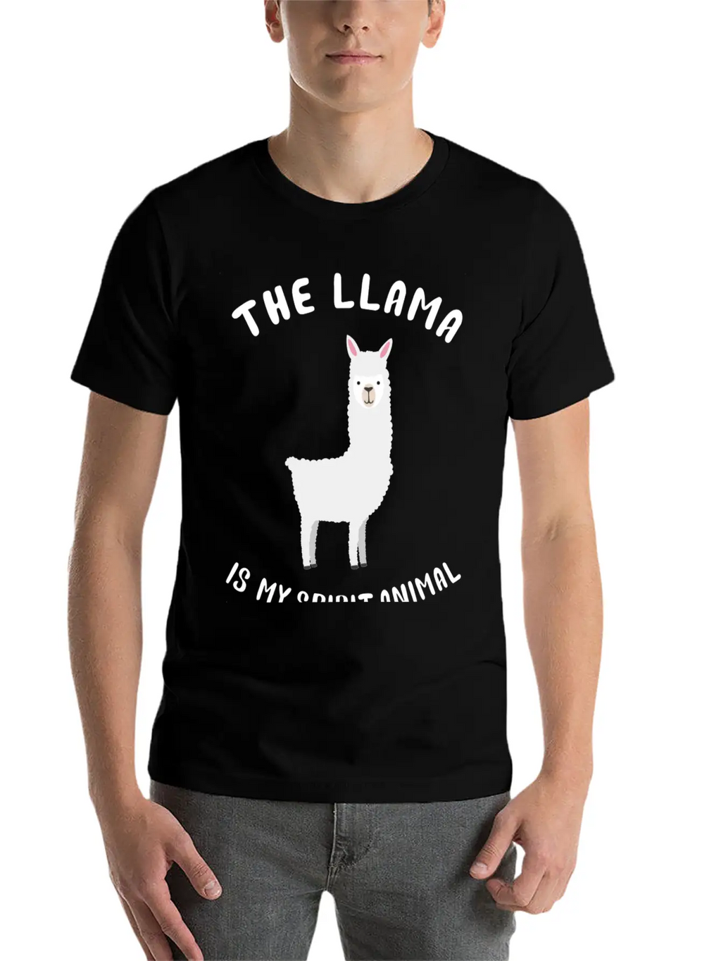 Llama Is My Spirit Animal Modern Fit Casual T-Shirt – Clean And Versatile Design