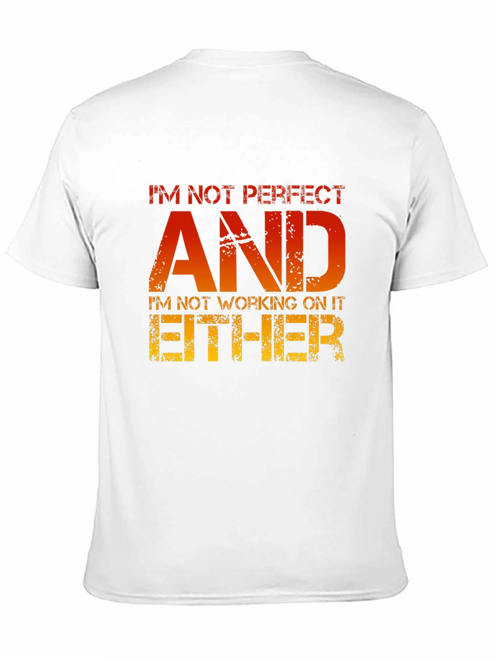 Funny Sarcastic T-Shirt - Im Not Perfect AND...