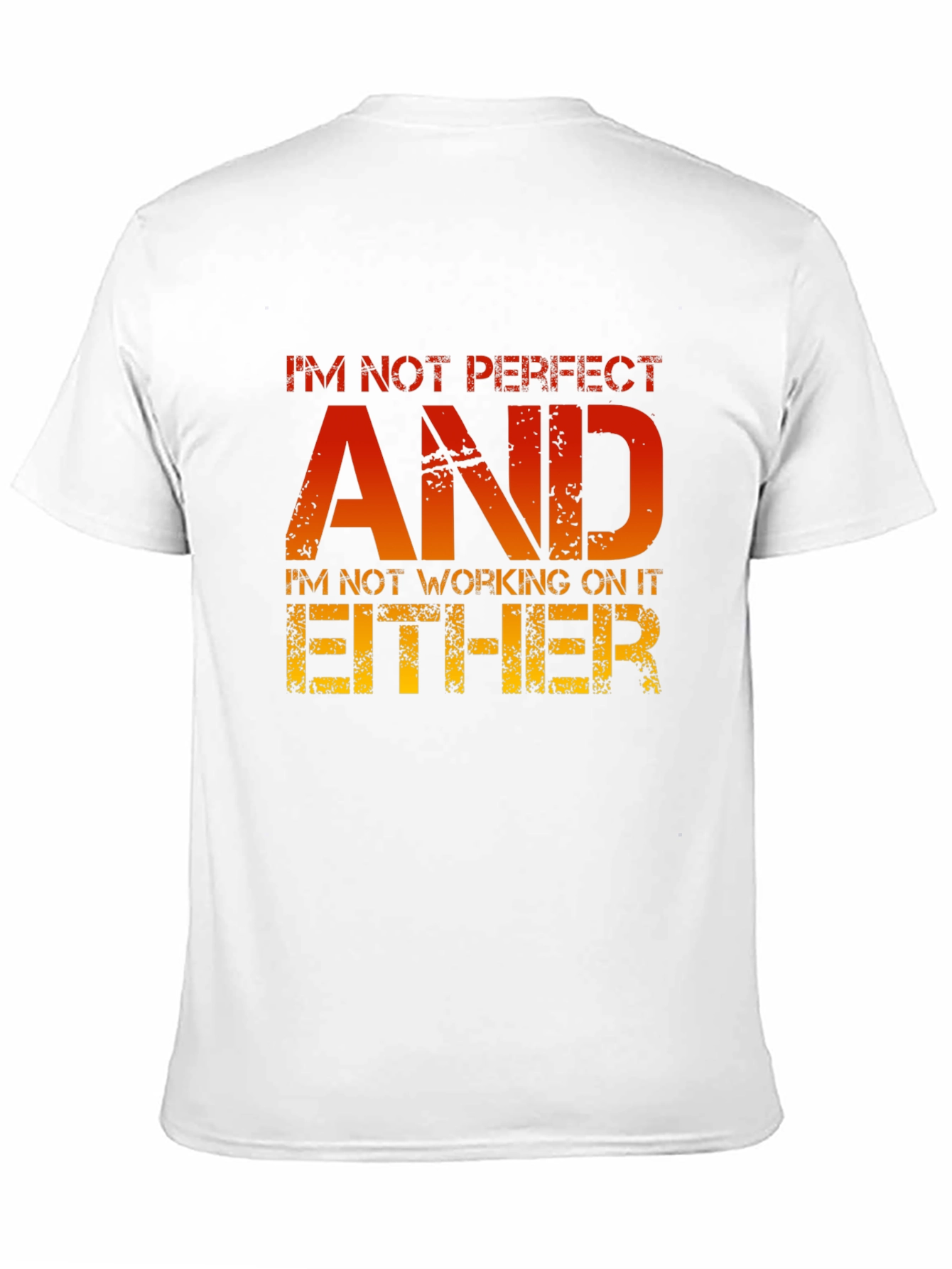 Funny Sarcastic T-Shirt - Im Not Perfect AND...