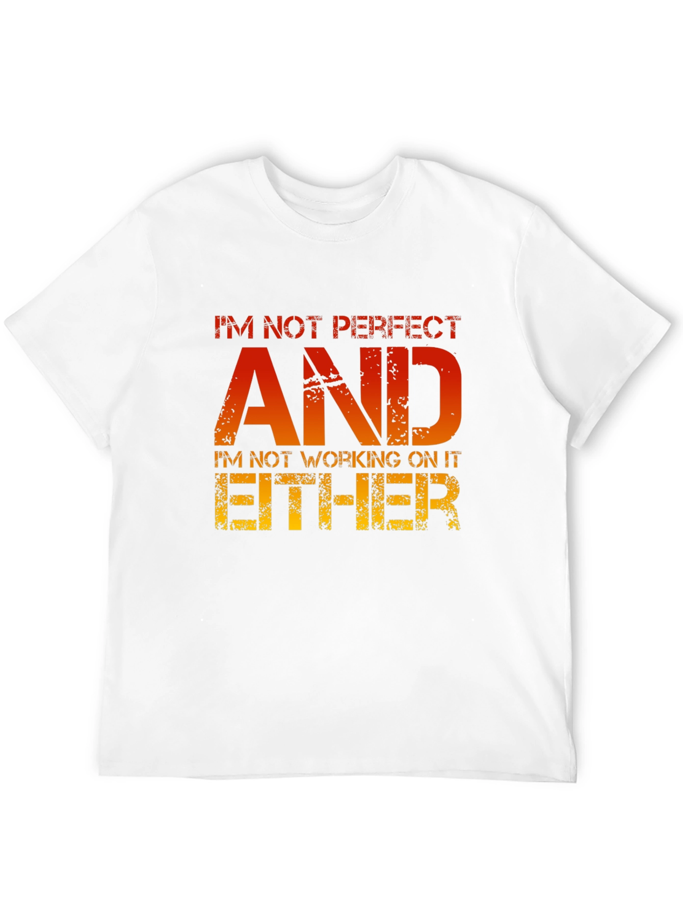 Funny Sarcastic T-Shirt - Im Not Perfect AND...