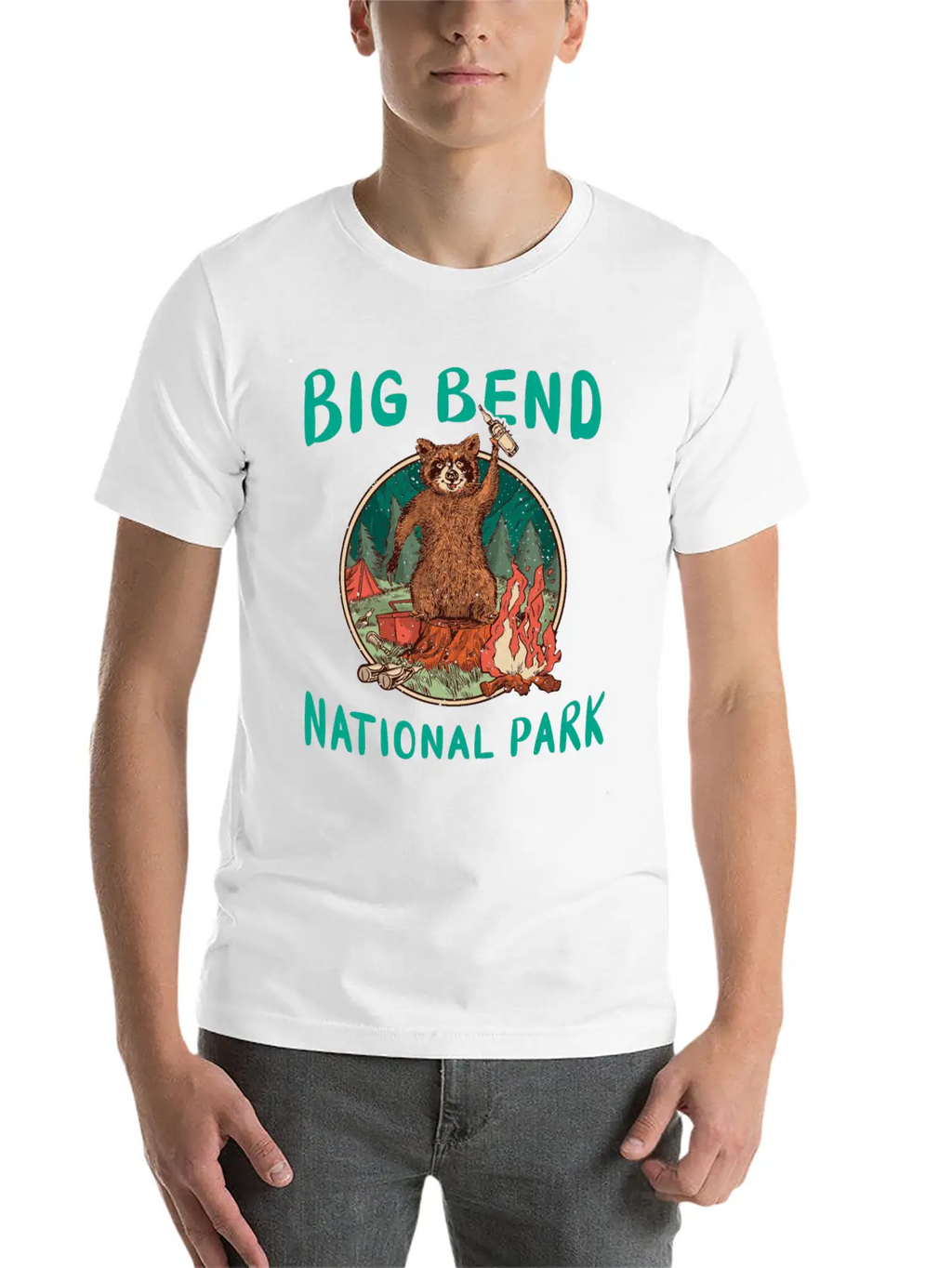 National Park United States Conservation Stylish Everyday T-Shirt – Unisex Basic Cotton Tee