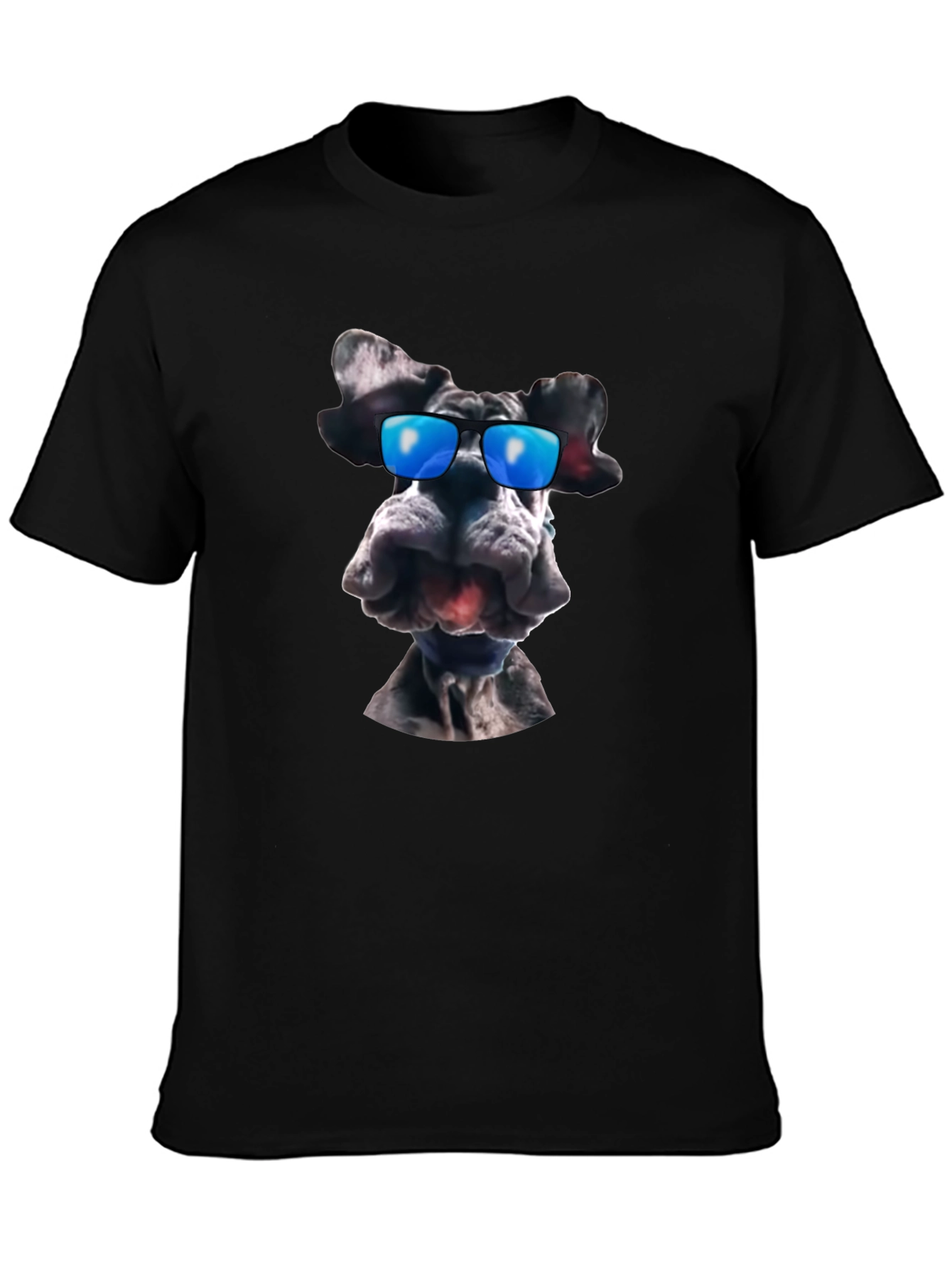 Cool Dog Graphic T-Shirt